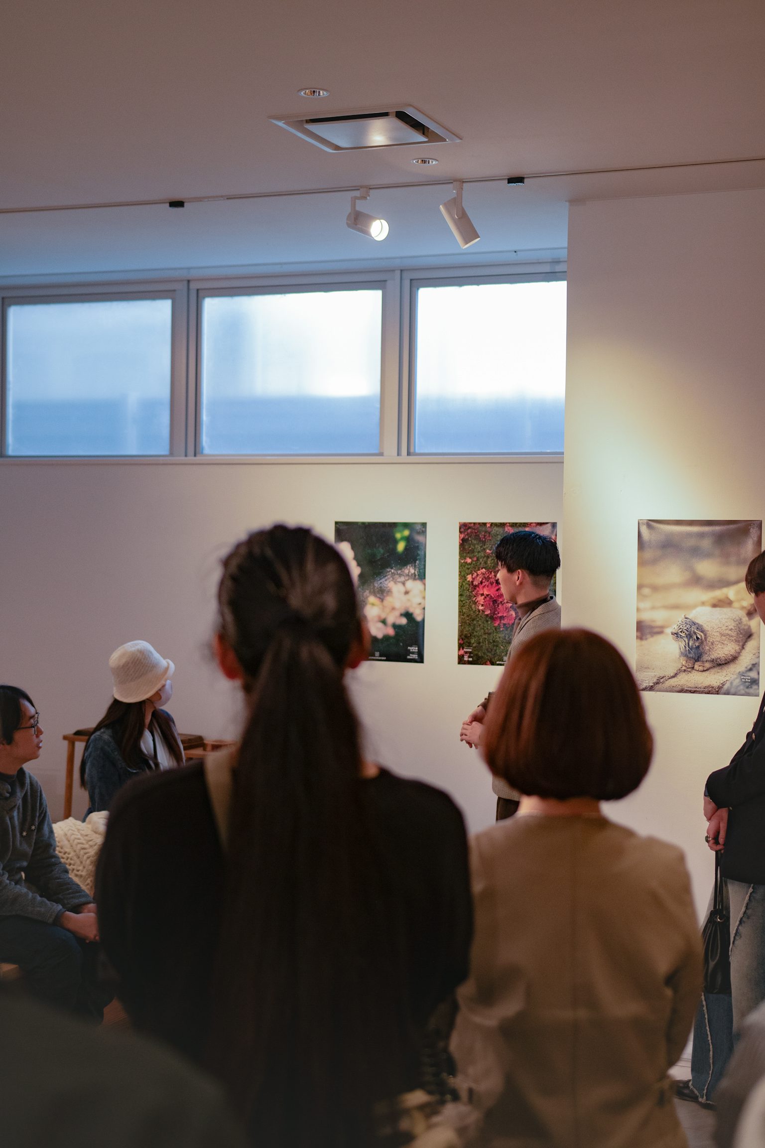ppp-image-6
