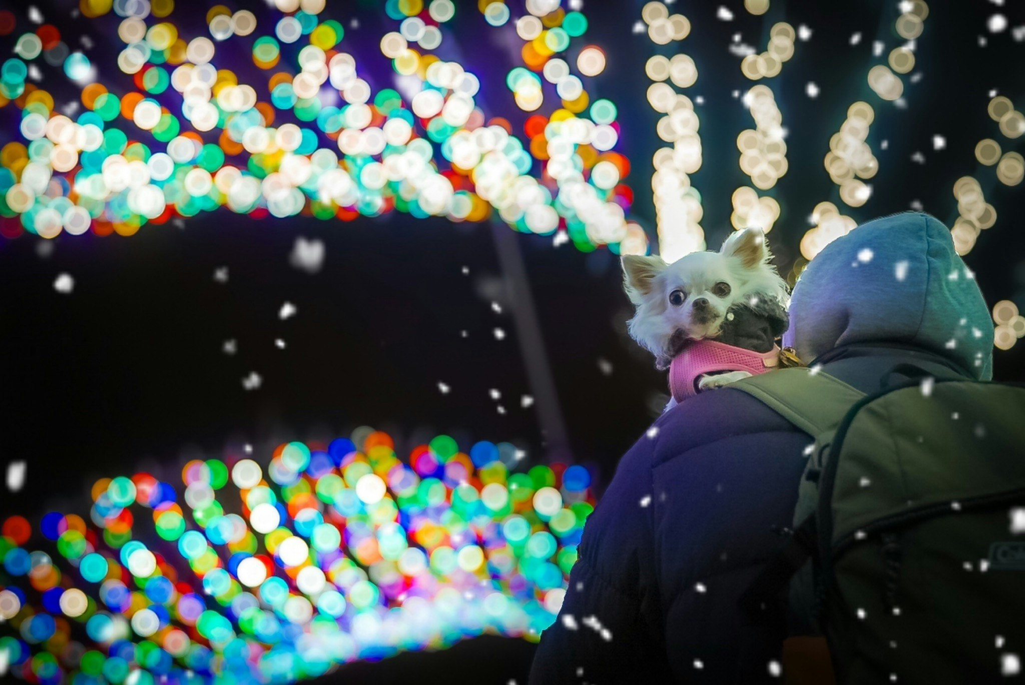 circle-yWAXGrLkuX8elFxbdW3M-icon-image