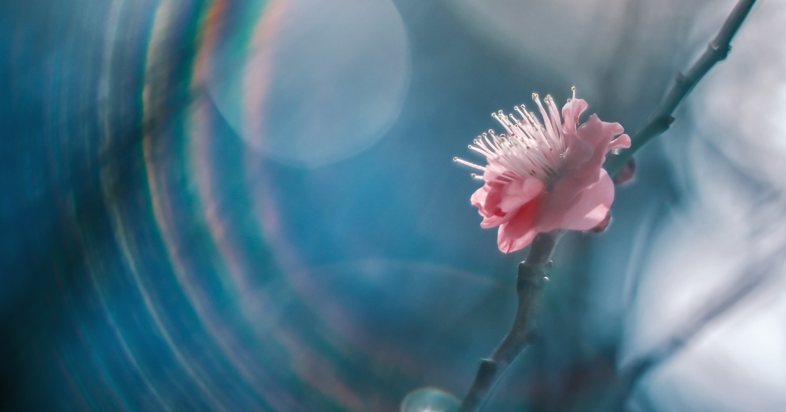 contest-2uiuumzp0vw5elDaJTpM-cover-image