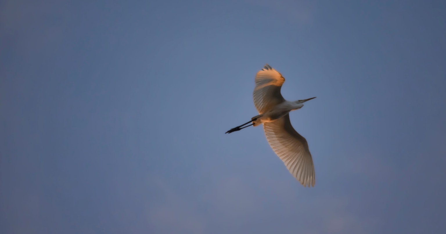 contest-3cgOBgdpfAqEeTnj93ce-cover-image