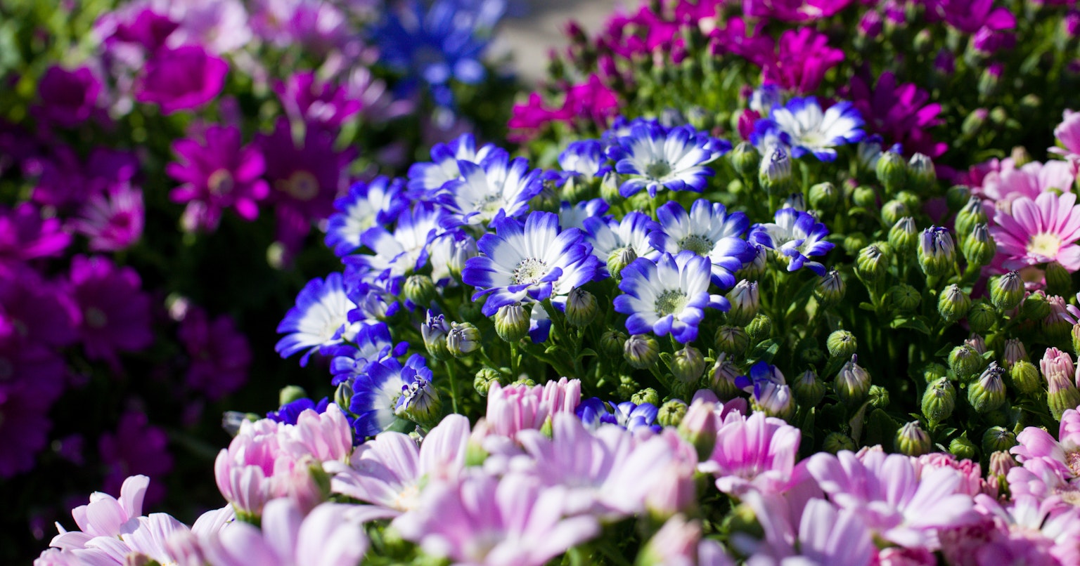 contest-6GUznxvprdRsB5ZaEyiP-cover-image