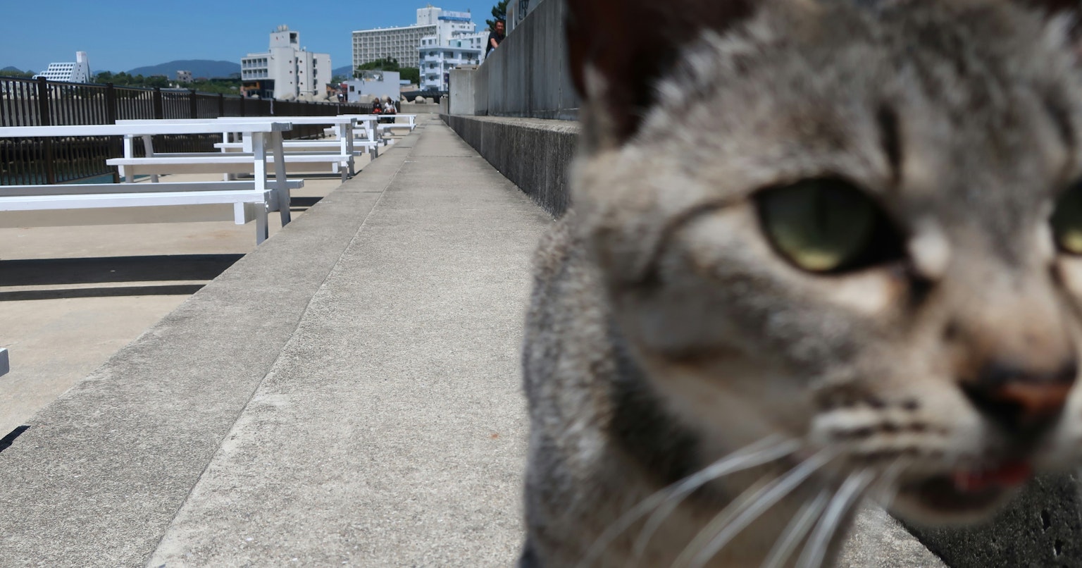 contest-7Mjkn94mSq32zmXWm476-cover-image