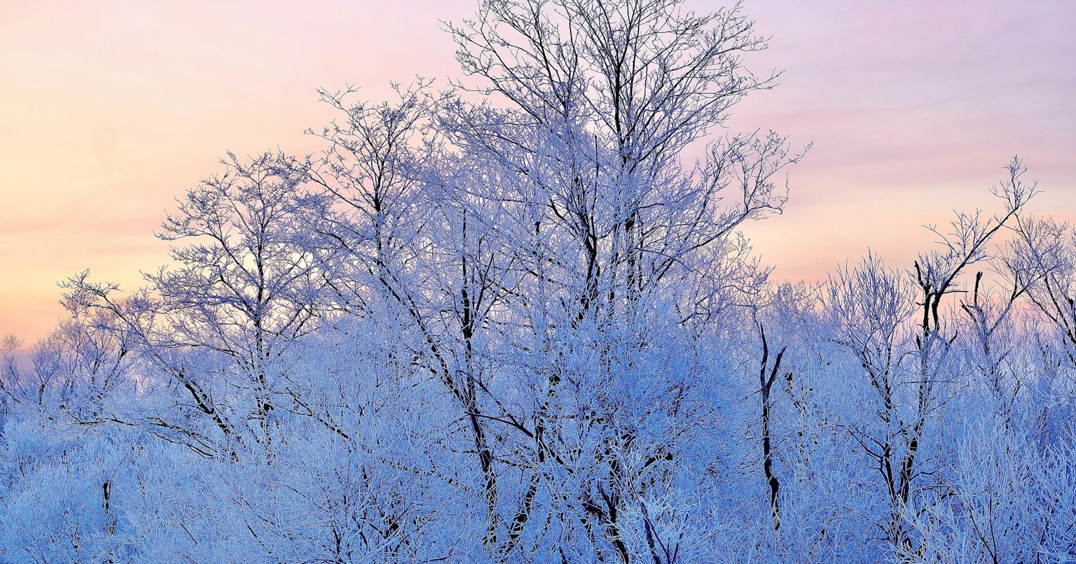 contest-HfcMCLY8jA729VYIu0hK-cover-image