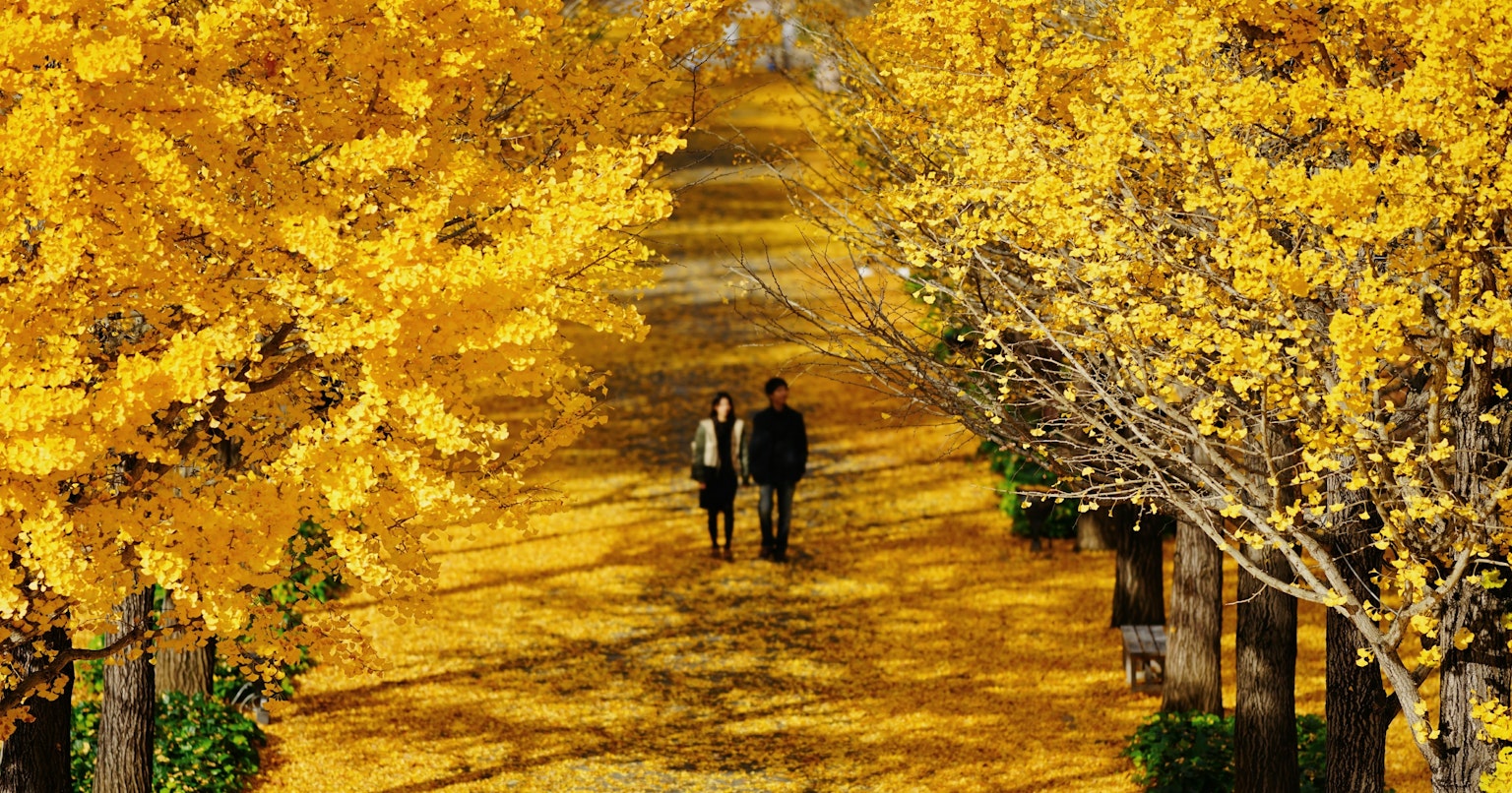 contest-Ppp1XOQnKyyKQQU3H3Nw-cover-image