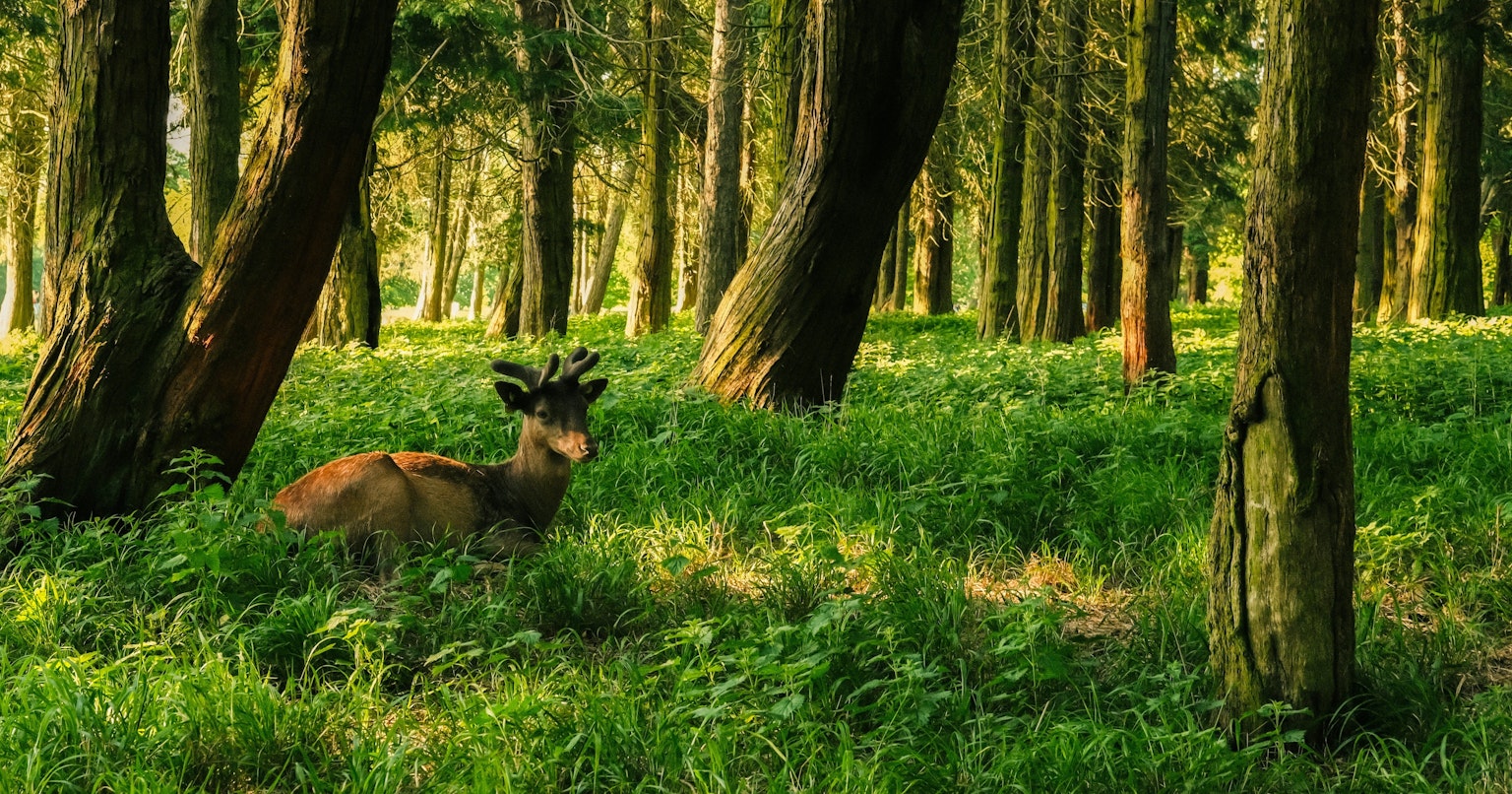 contest-Q5mpXvbhjhmEi30lDzEk-cover-image