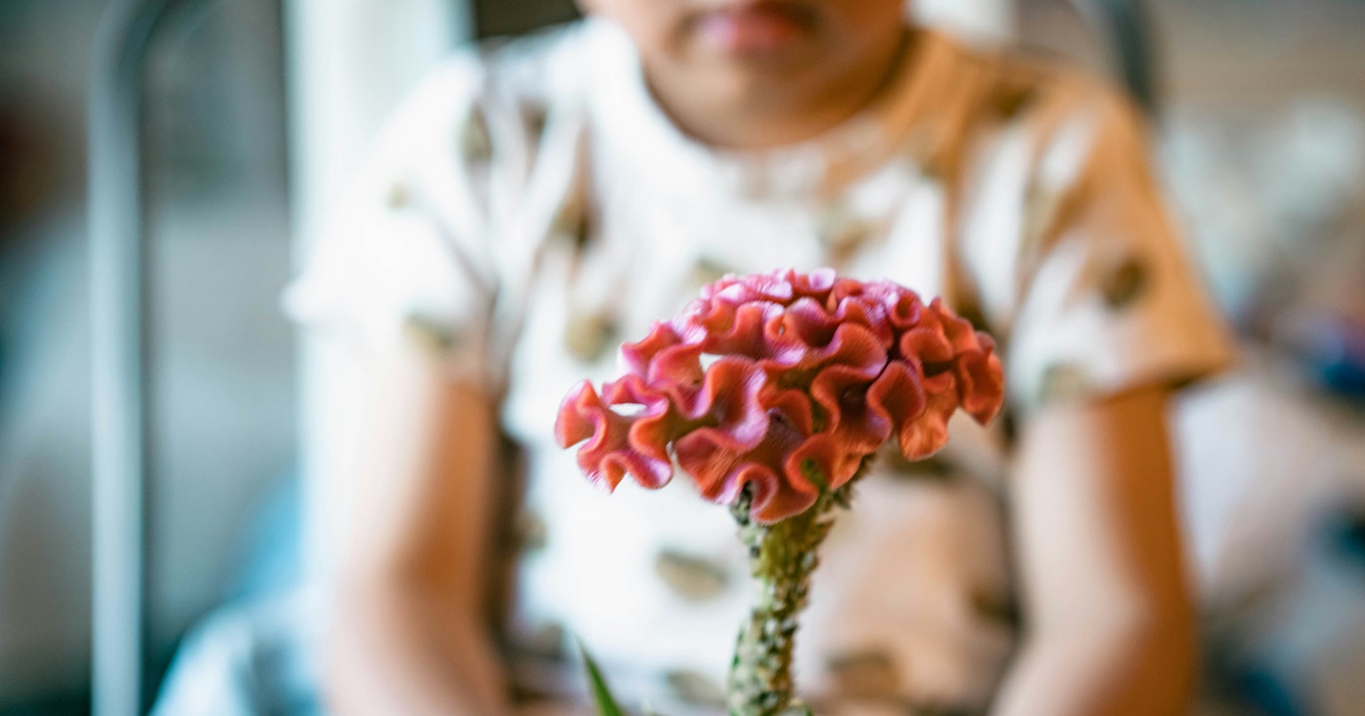 contest-l81LoVOSaLYdGwfca4Ys-cover-image