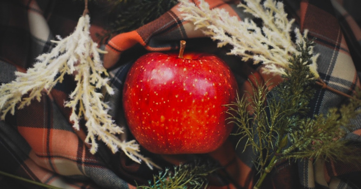 contest-oCwcgnyoqD7GxIuE1pE8-cover-image