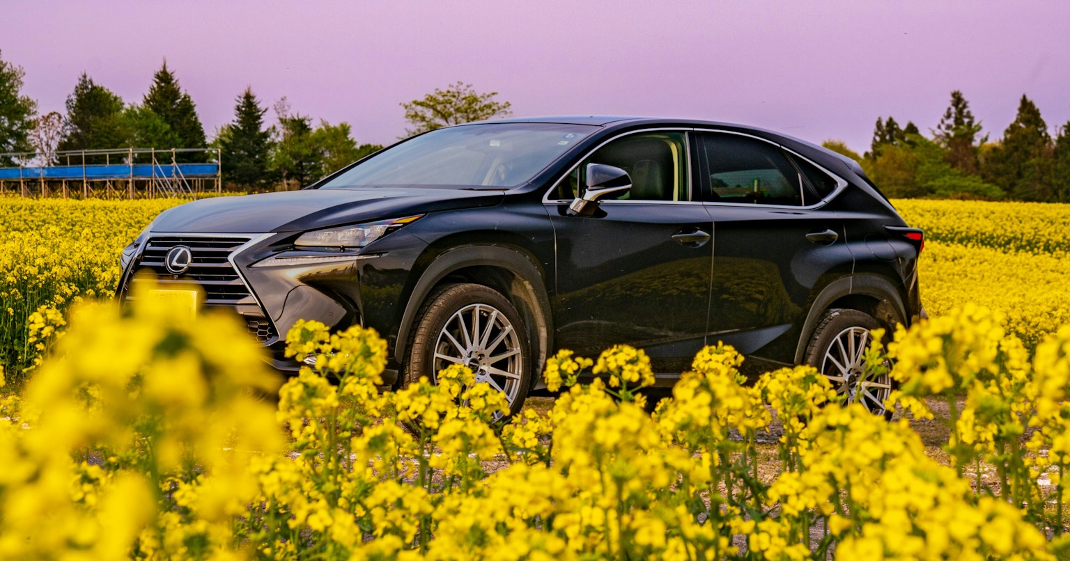 contest-qGJjzsf4JY9pwuEy7FyV-cover-image