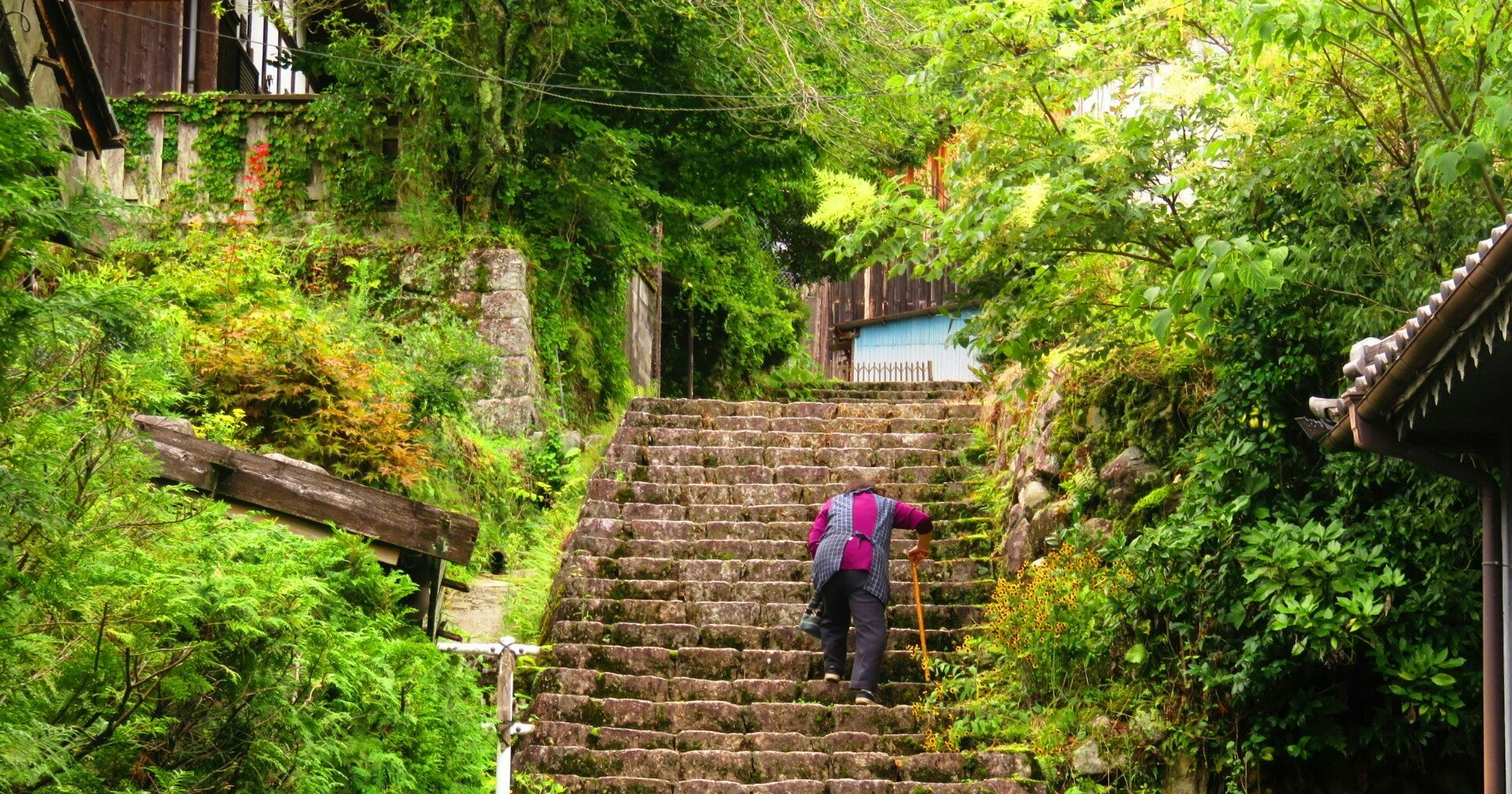 Steps of Life