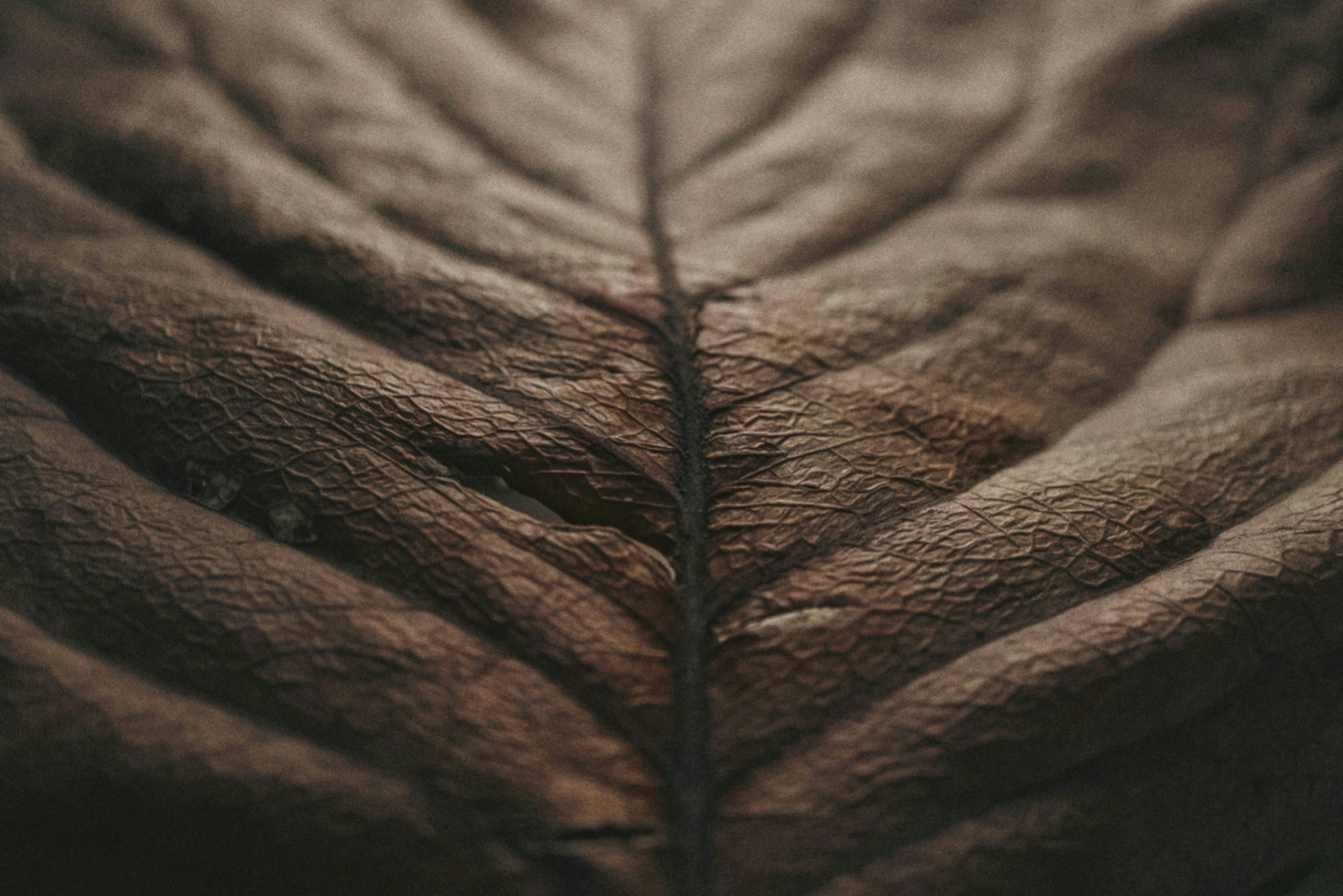 uGdgd7l9g2PMCgwSlcF7-cover-image