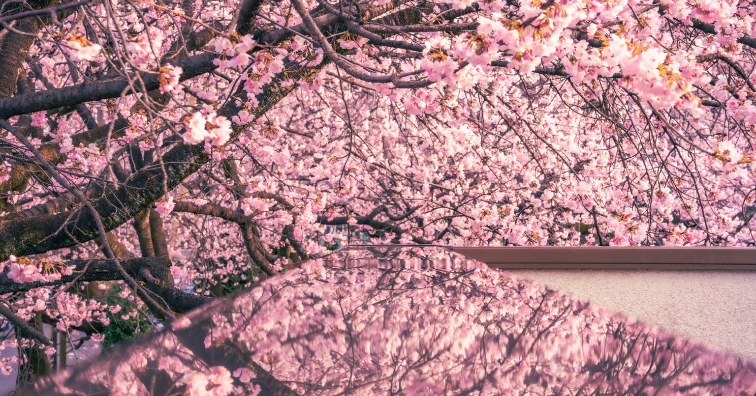 contest-vKIhiE1aYJl7reU1RMbT-cover-image