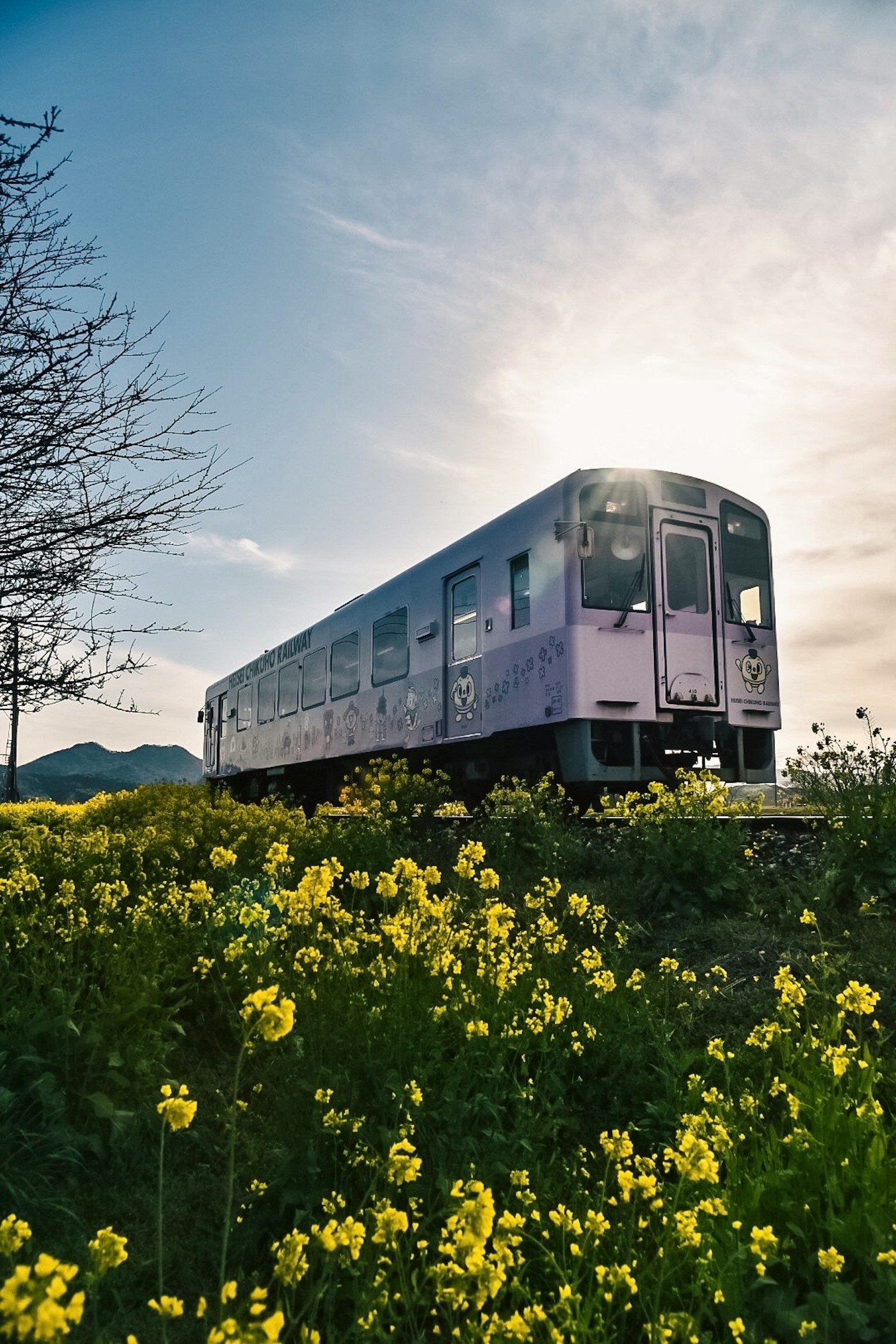 Treno circondato da fiori gialli con il sole sullo sfondo