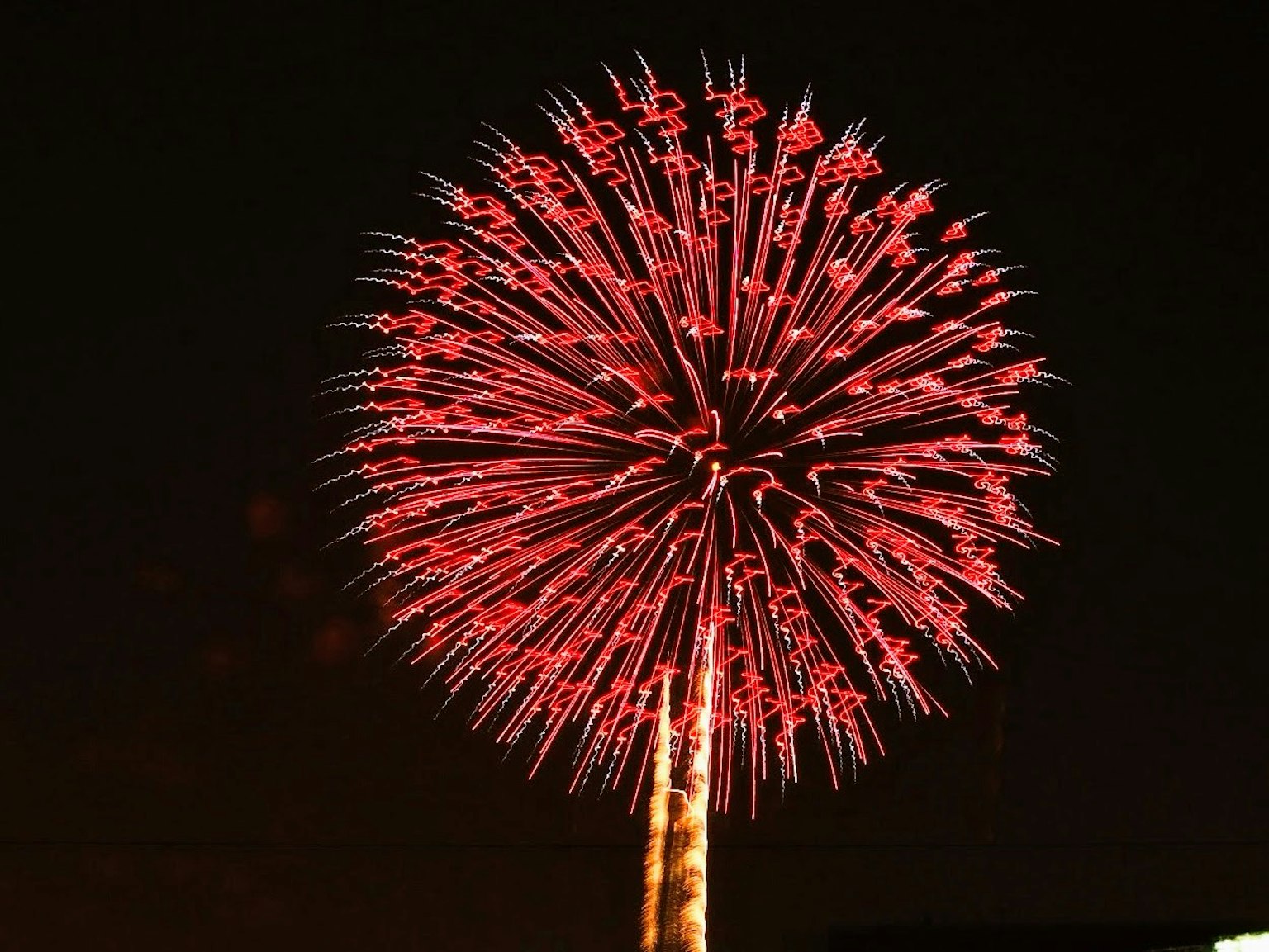 Hermoso espectáculo de fuegos artificiales rojos estallando en el cielo nocturno