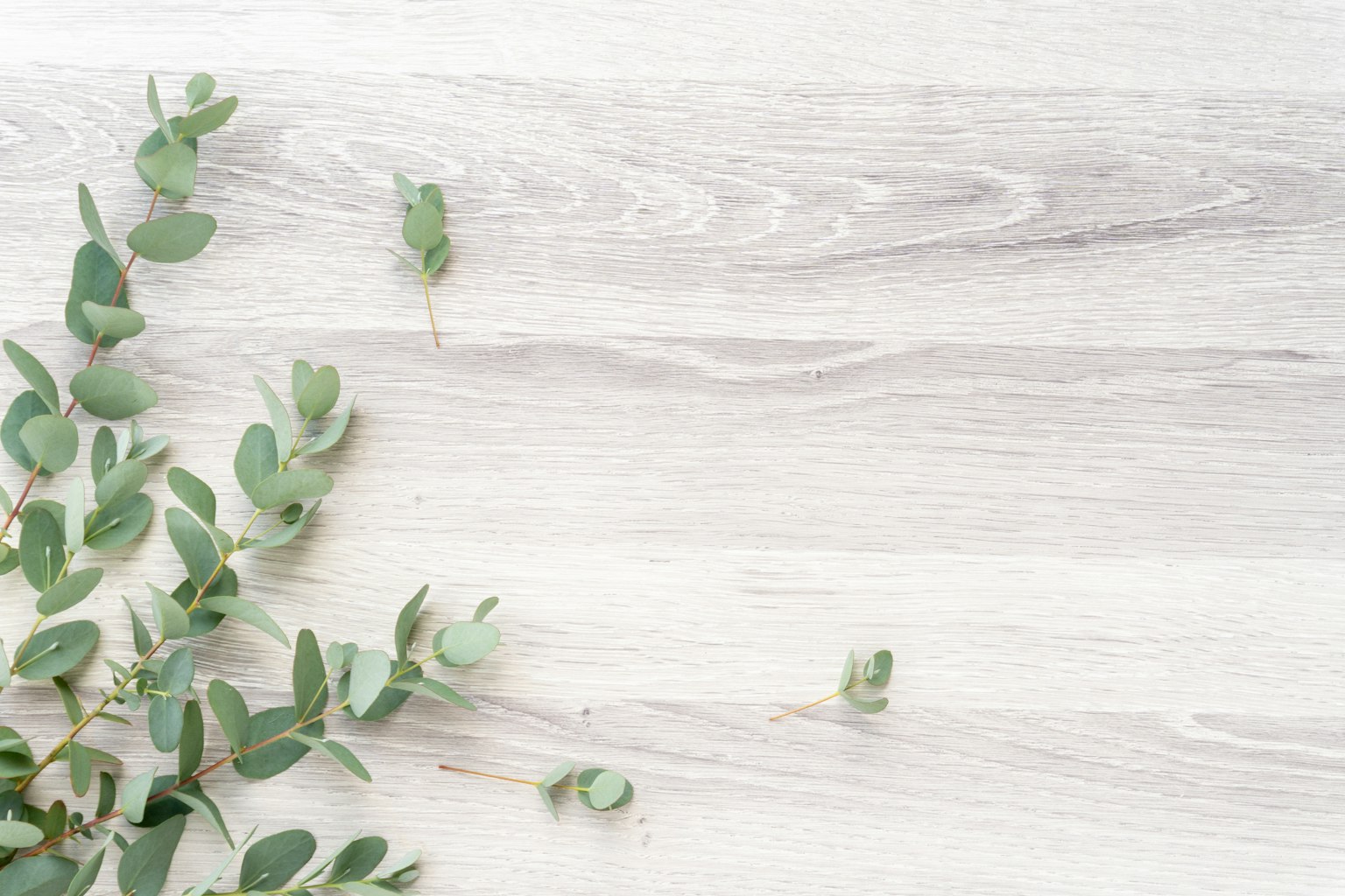 A serene natural scene with green leaves scattered on a white wooden background