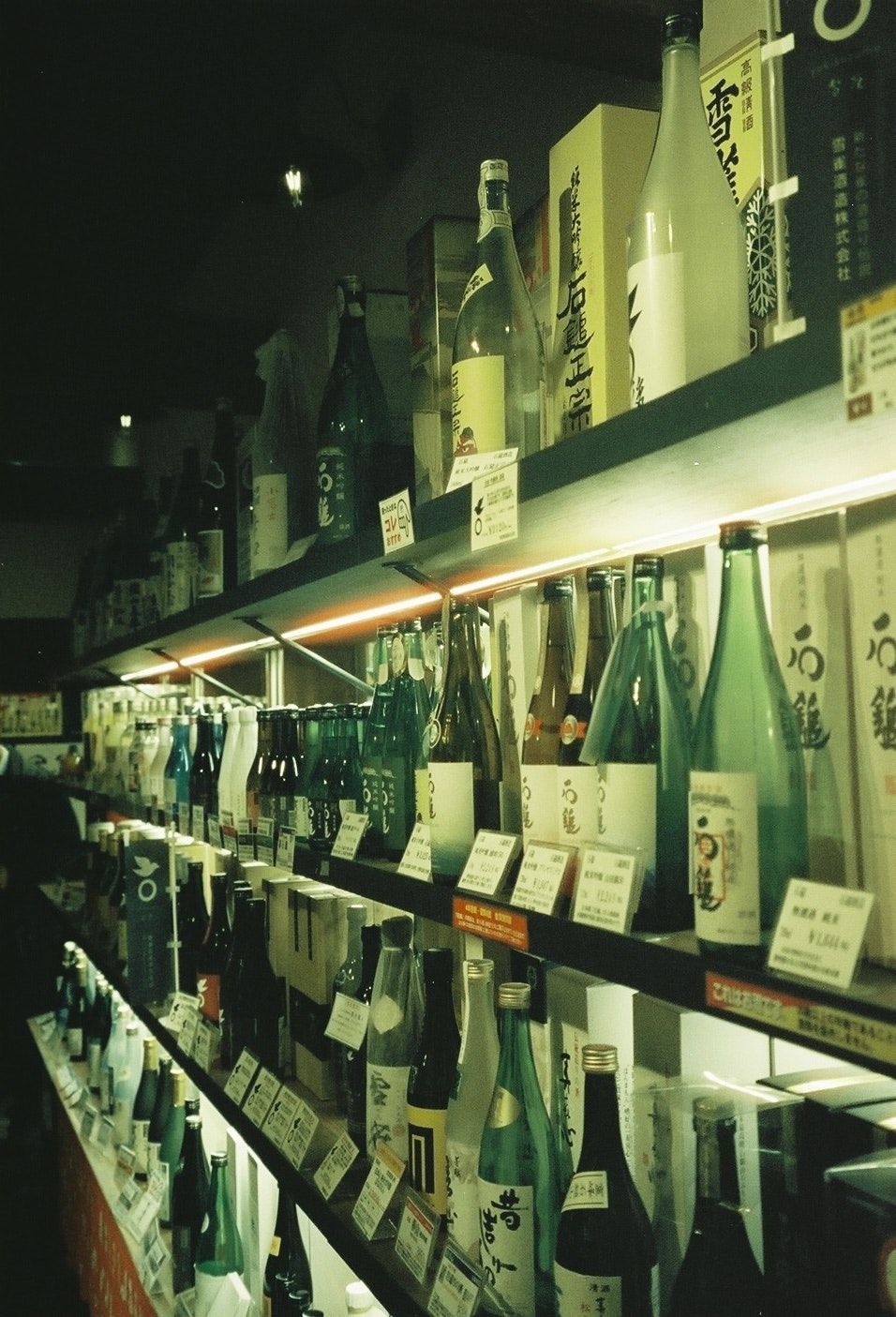 nighttime wine shop shelf with rows of bottles and labels