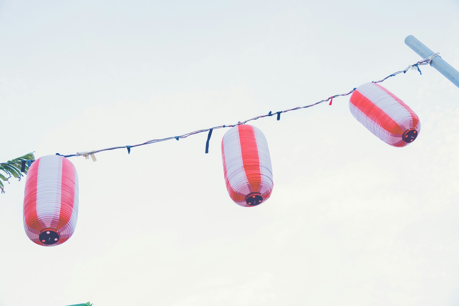 Đèn lồng đỏ và trắng treo dưới bầu trời trong xanh