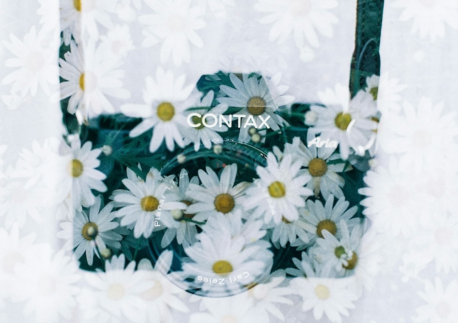 ภาพของกระเป๋ากล้อง Contax ที่มีลวดลายดอกเดซี่สีขาว