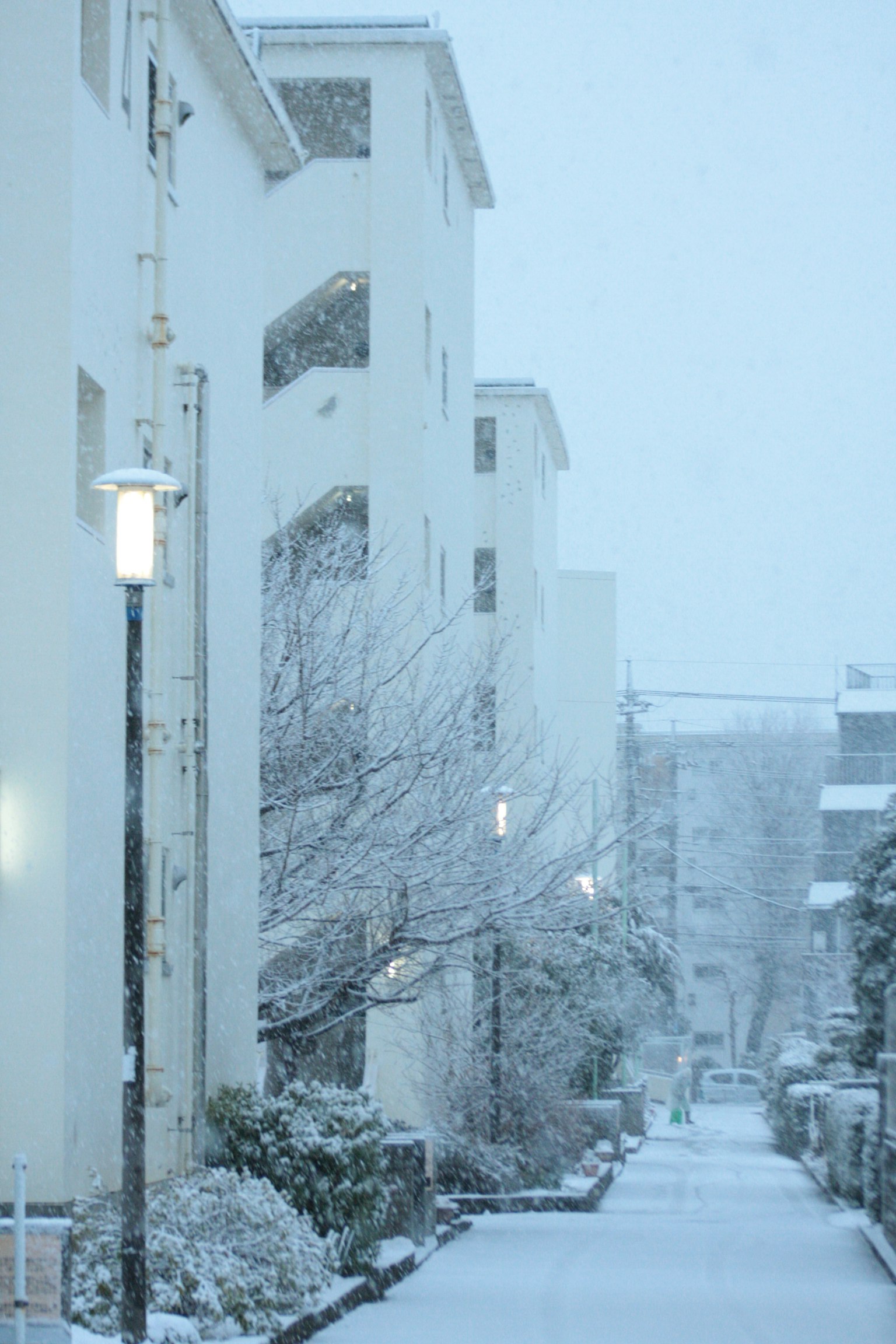 Snowy street with white buildings and streetlights
