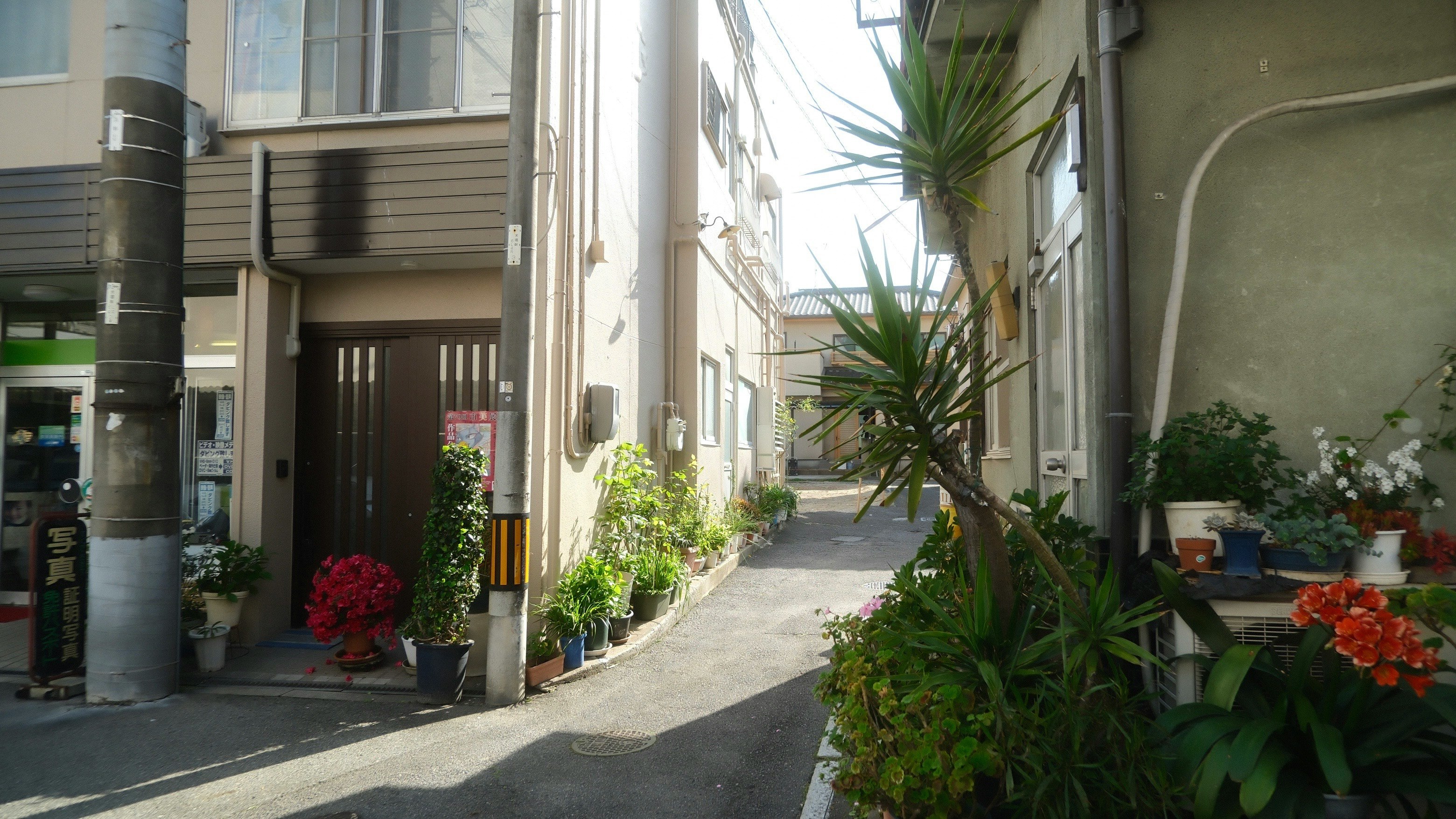 中庭の植栽が並ぶ路地のような通路