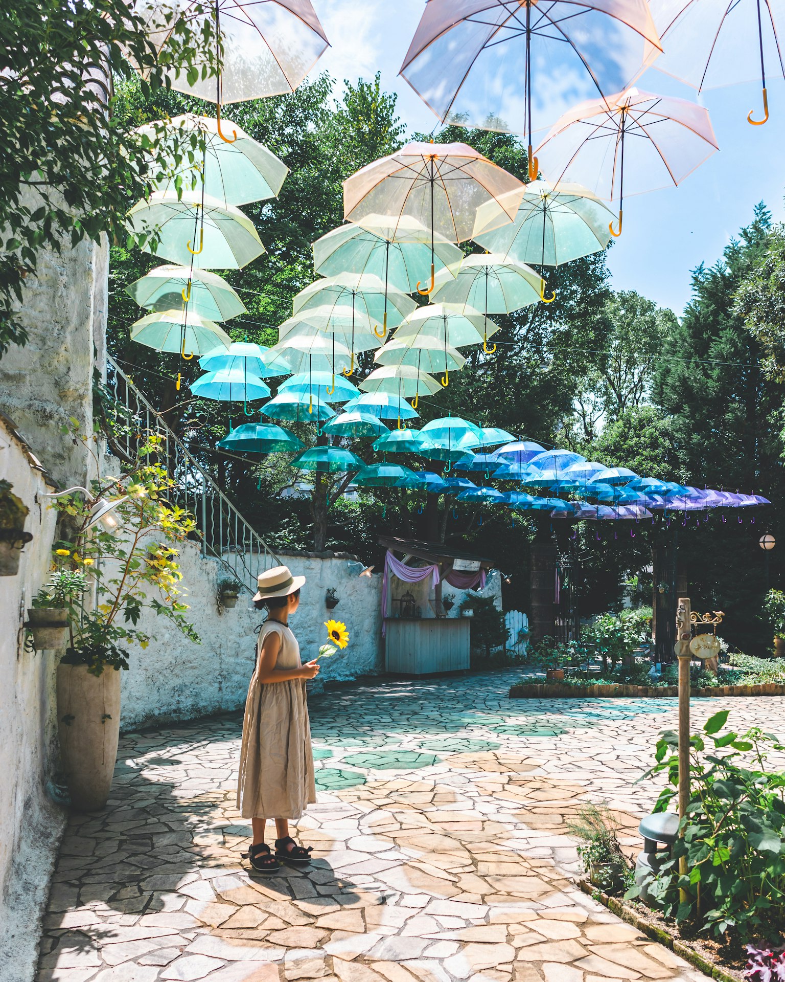 Una mujer sosteniendo un girasol en un jardín con paraguas coloridos arriba