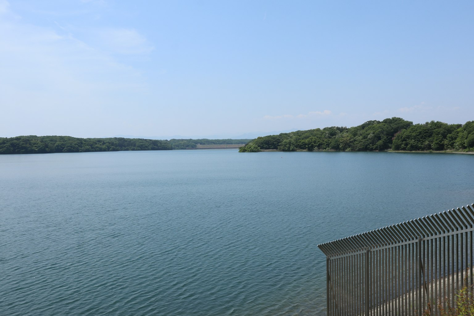 Vue panoramique d'un lac bleu entouré d'arbres verts