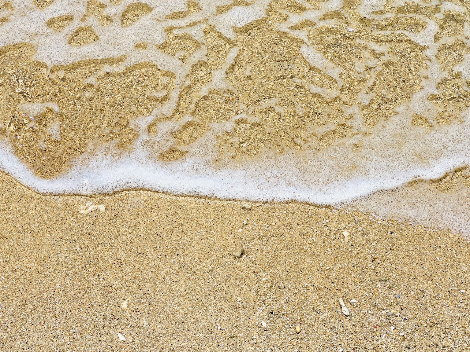 Scène de plage avec des vagues mousseuses et des coquillages sur le sable