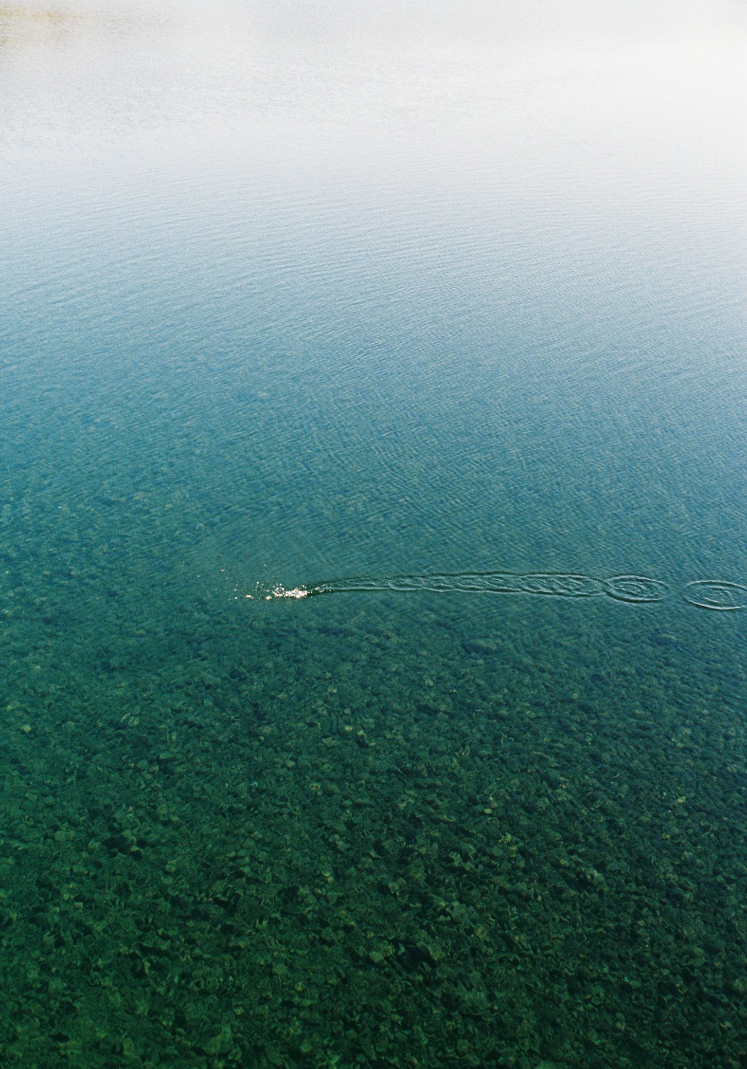 Un petit bateau glissant sur une surface d'eau claire