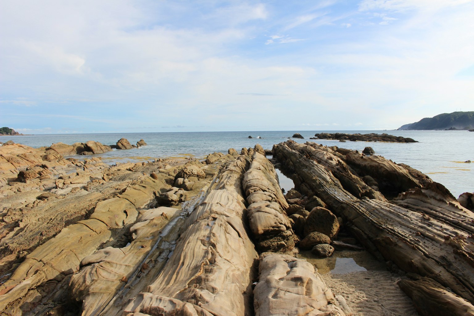 Pemandangan indah pantai berbatu dengan kayu apung dan lautan