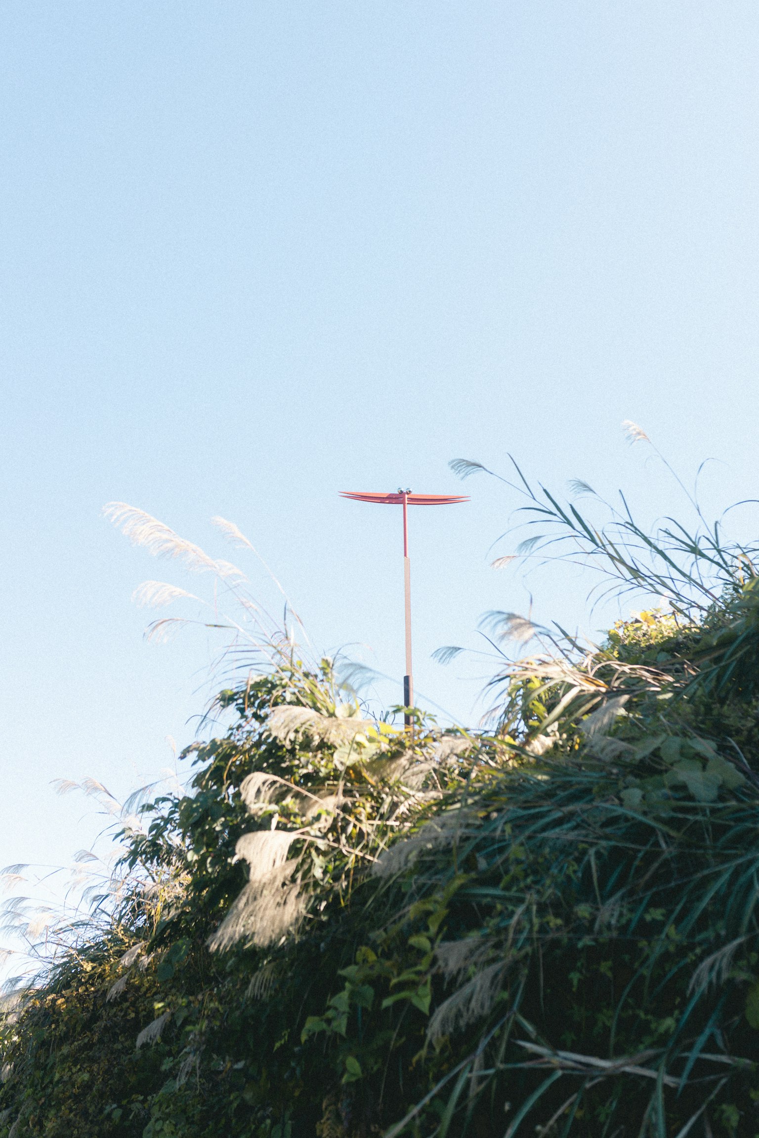 Red weather vane under a blue sky with green plants