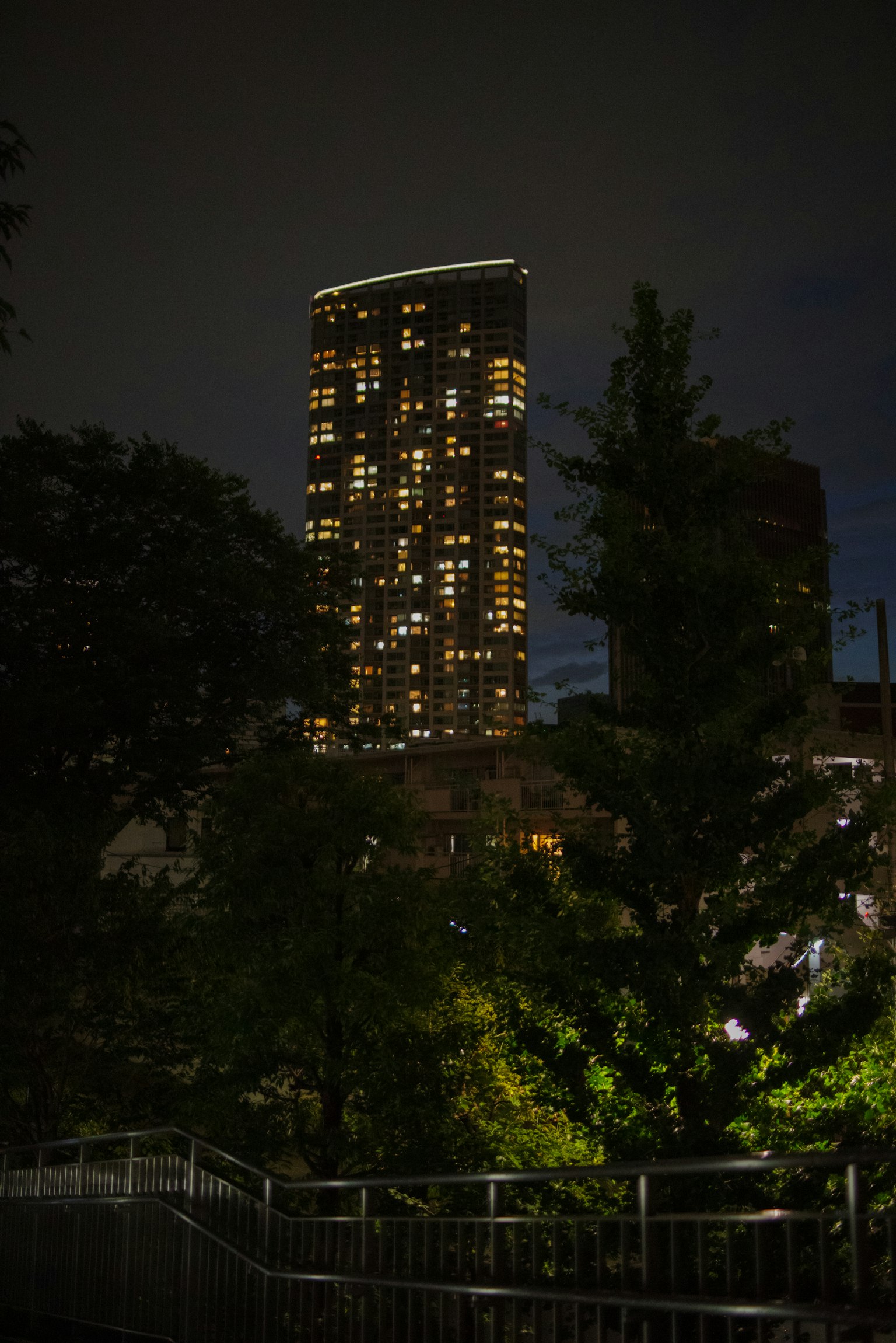 Hochhaus bei Nacht beleuchtet umgeben von Grün und Bäumen leuchtende Fenster