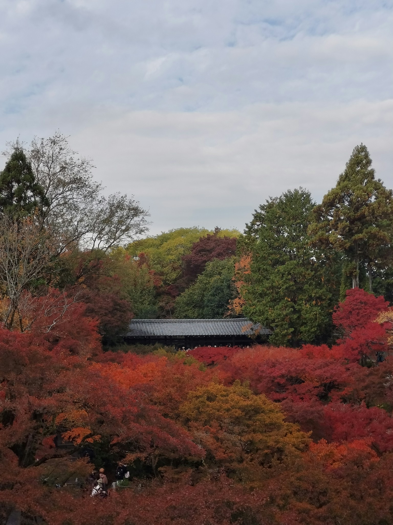 Vue pittoresque du feuillage d'automne avec des feuilles rouges et orange vives entourant un bâtiment traditionnel