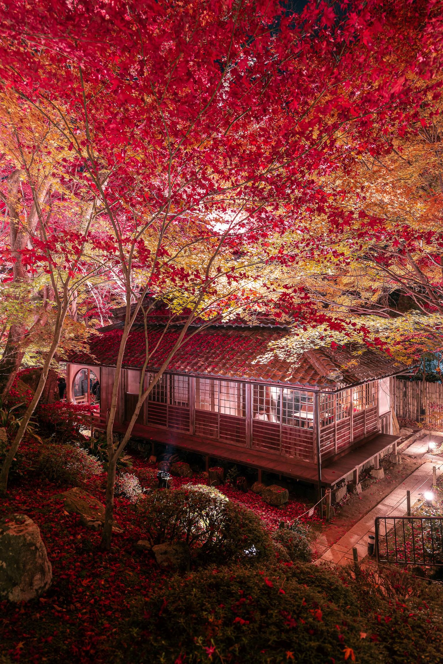 美しい紅葉に囲まれた伝統的な日本の家屋の夜景