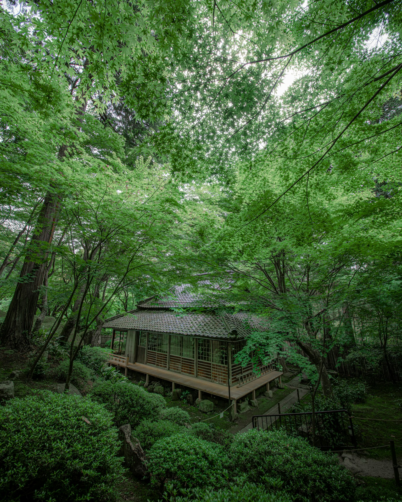 Maison japonaise traditionnelle entourée d'une végétation luxuriante