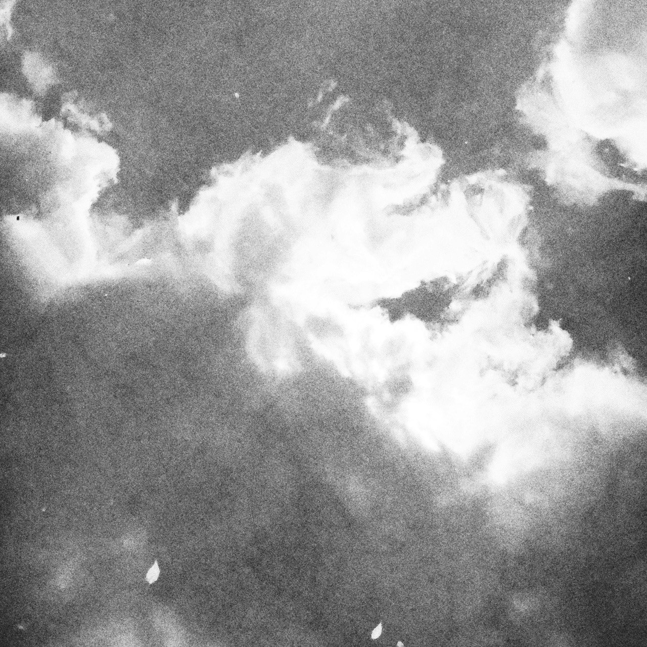 白黒の雲のパターンが広がる空の画像