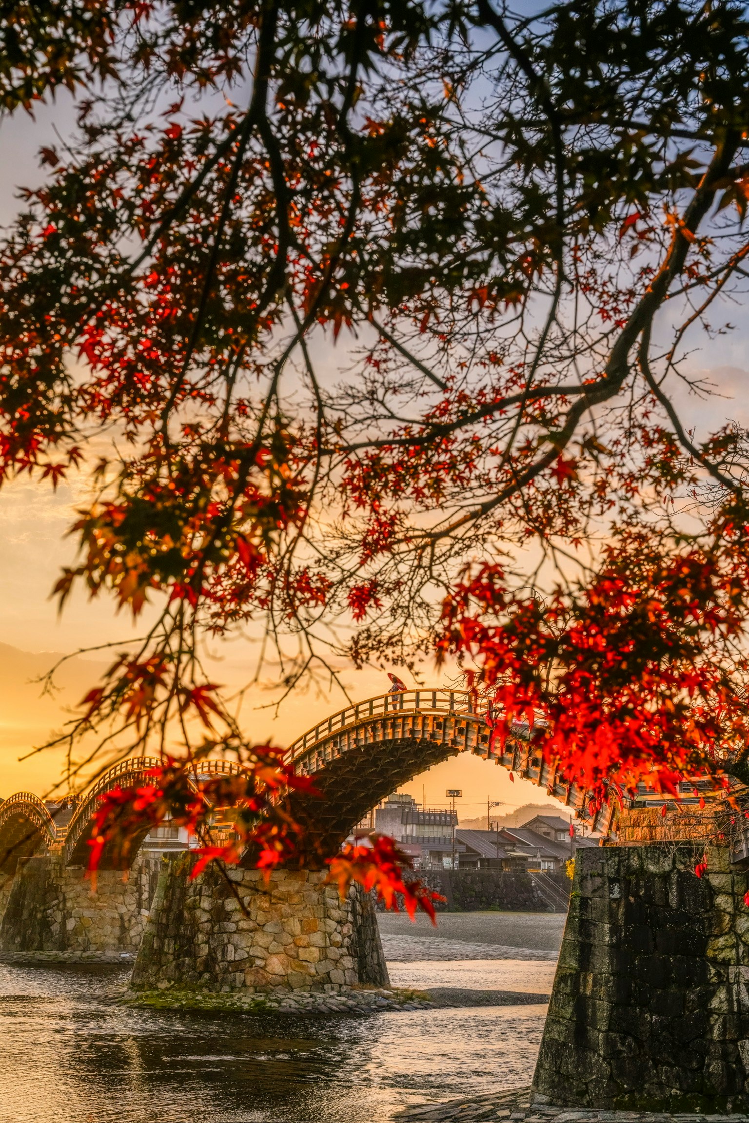 紅葉が映える橋と夕焼けの風景