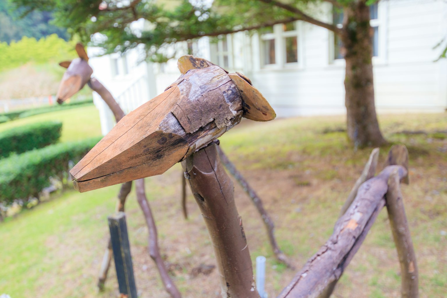 Primo piano della testa di una scultura animale in legno con un ambiente naturale