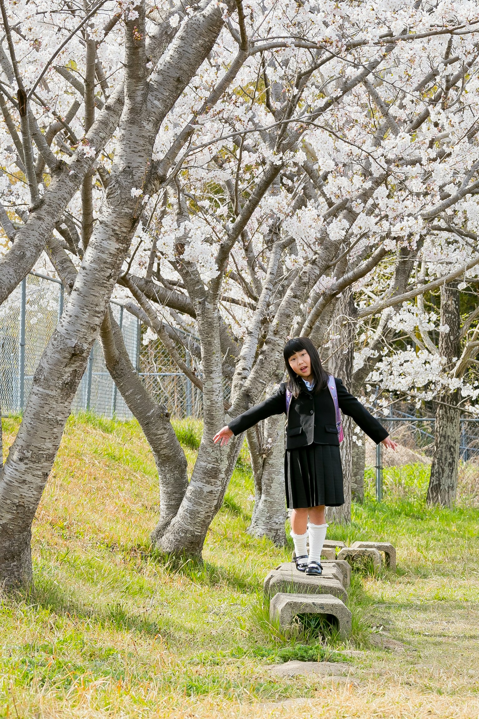 Girl balancing on a bench under cherry blossom trees