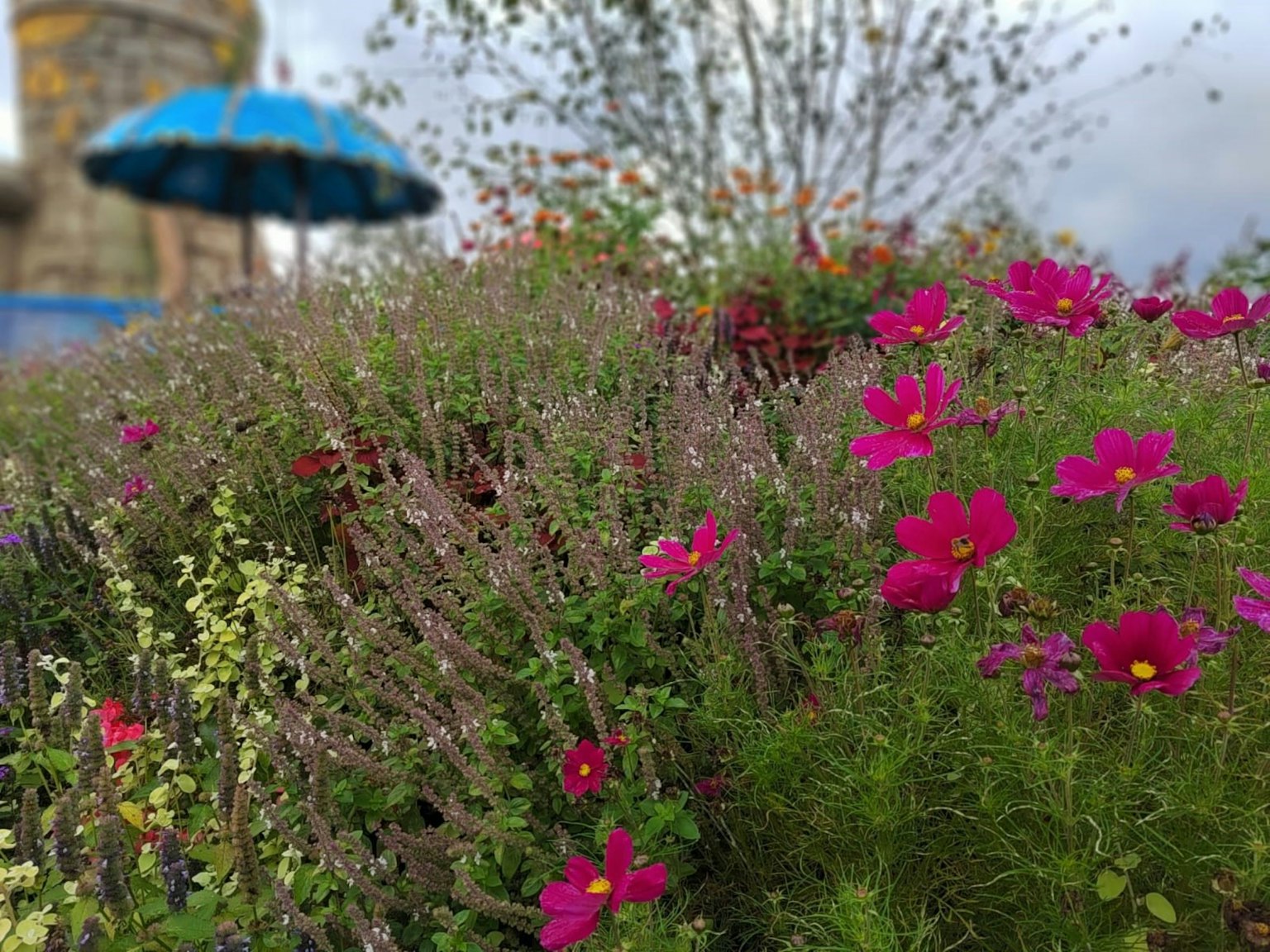 Scène de jardin vibrante avec des fleurs colorées et un parapluie bleu en arrière-plan