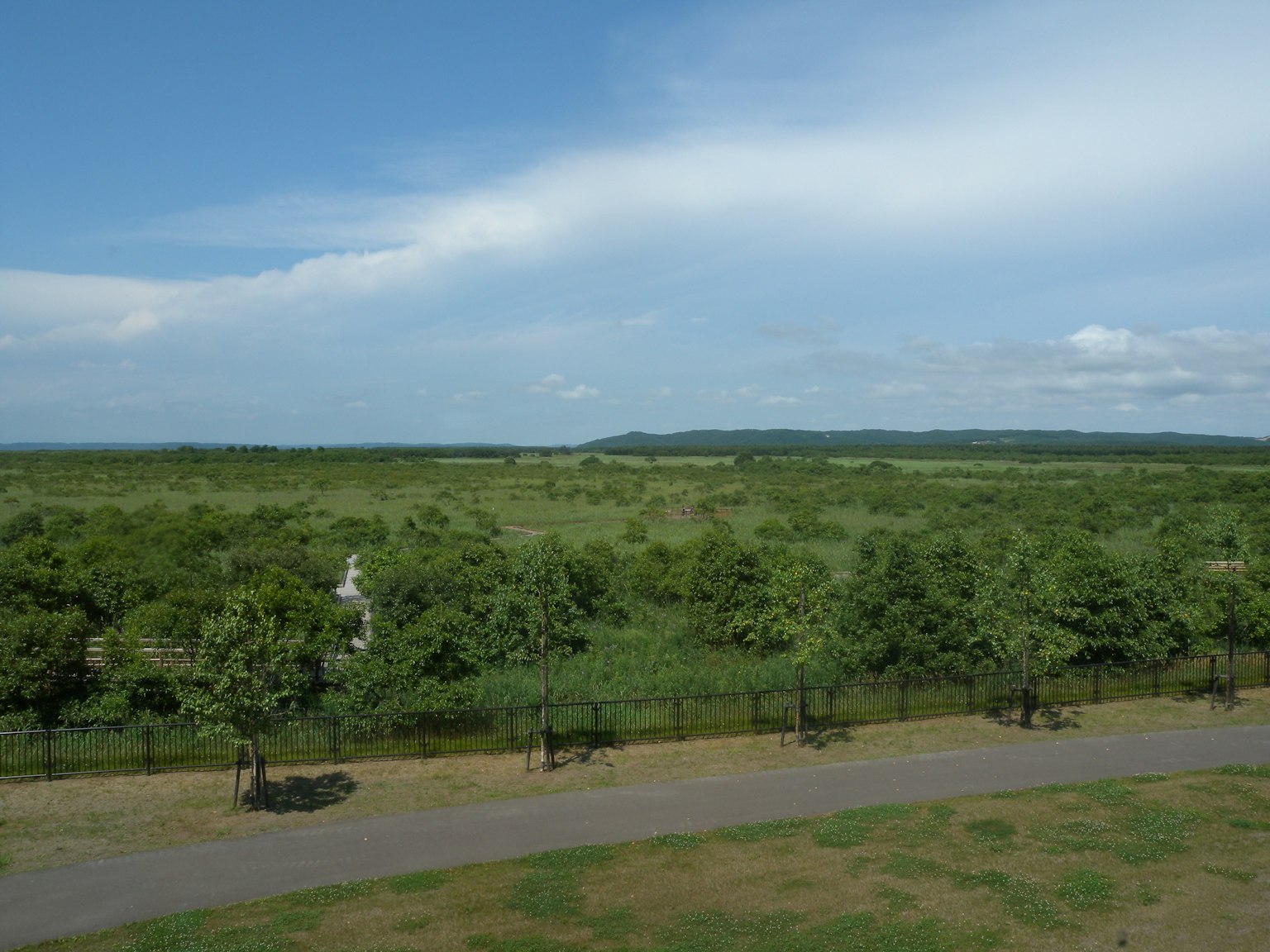 Expansive green landscape under a blue sky with a road