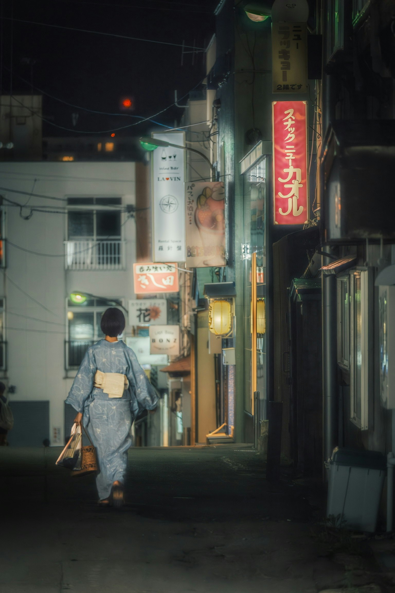 calle nocturna en Otaru con una persona caminando junto a faroles y letreros