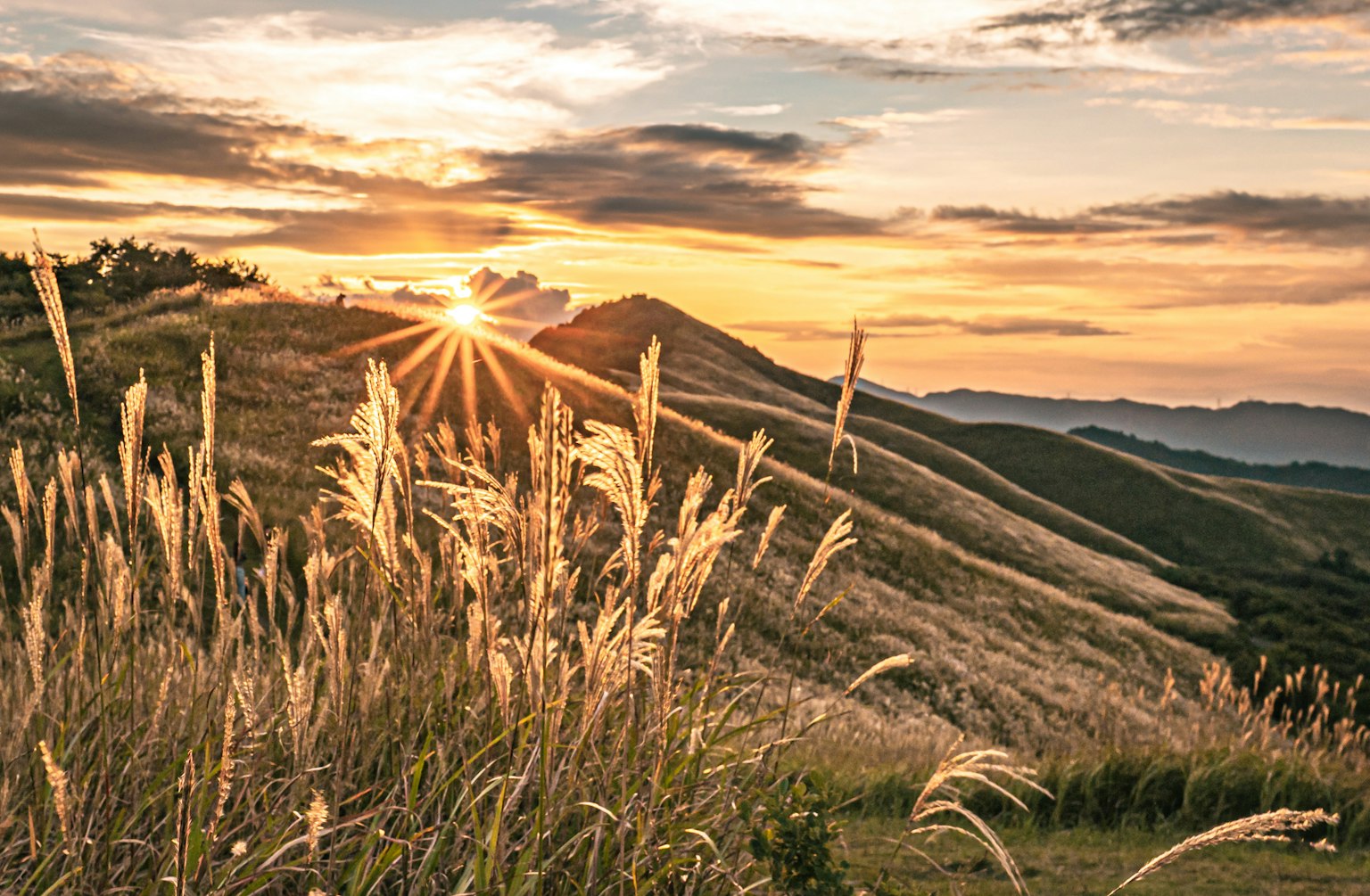 산 사이로 비치는 아름다운 일몰과 풀밭 풍경
