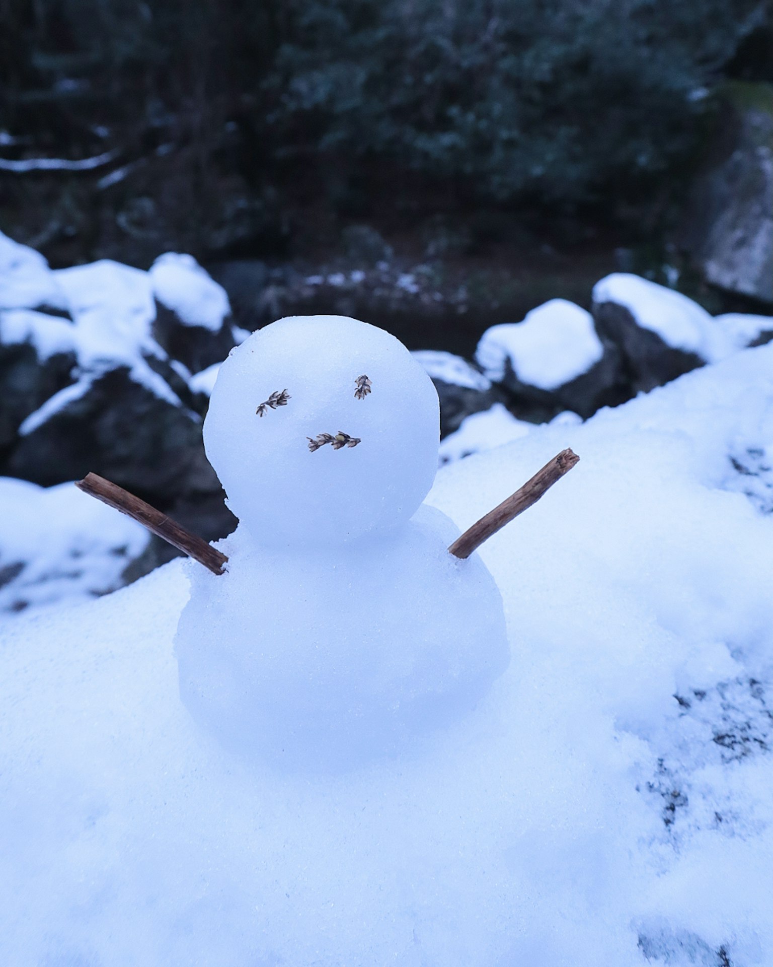 一个雪人在雪上站着，手臂是树枝
