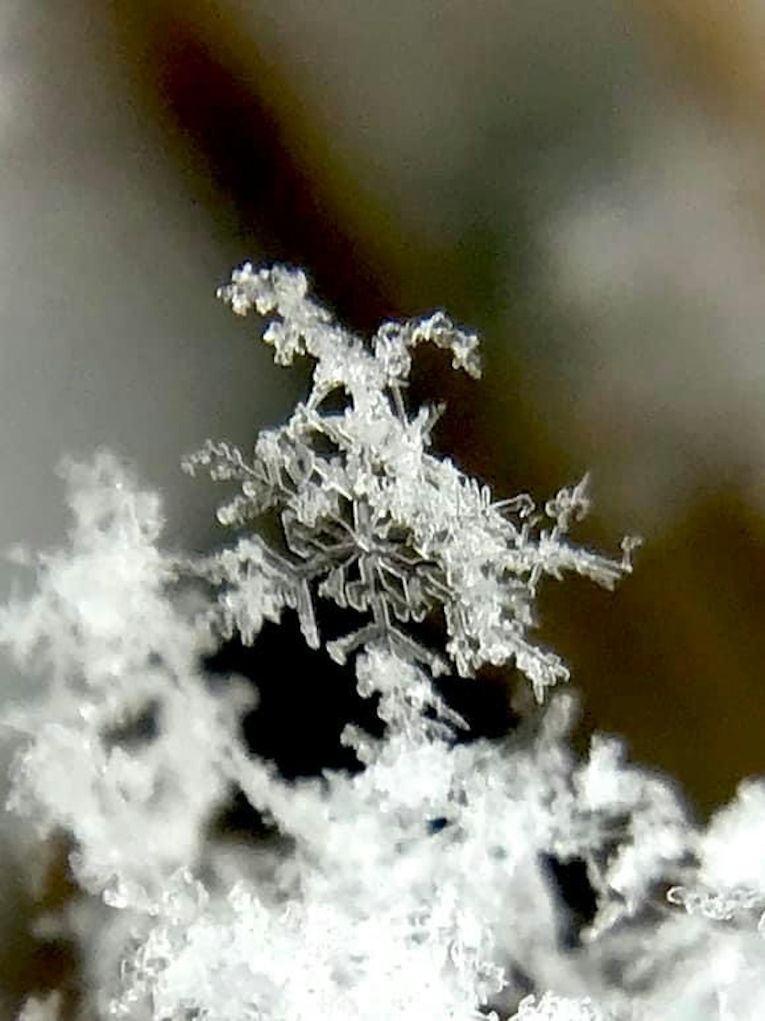 詳細的雪花宏觀照片，突顯複雜形狀和透明度
