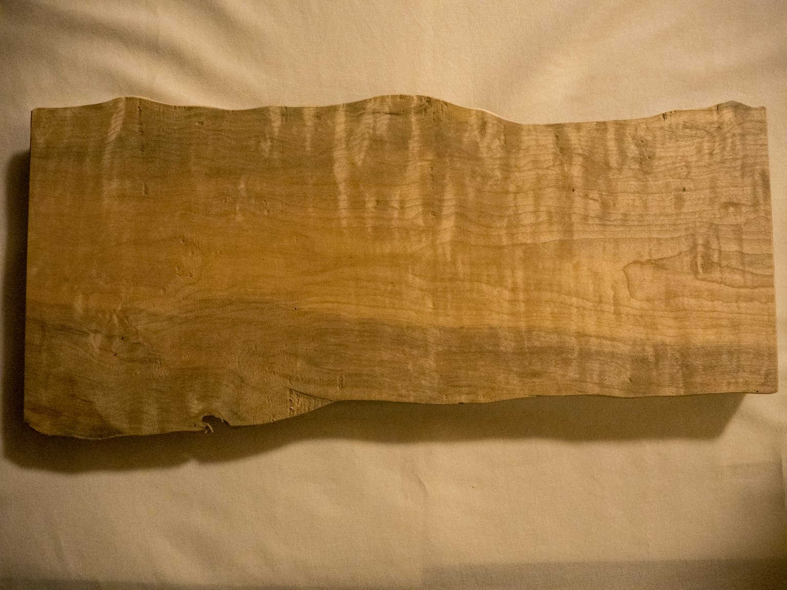 Holzplatte mit glatter Oberfläche und natürlichen Farbtonen
