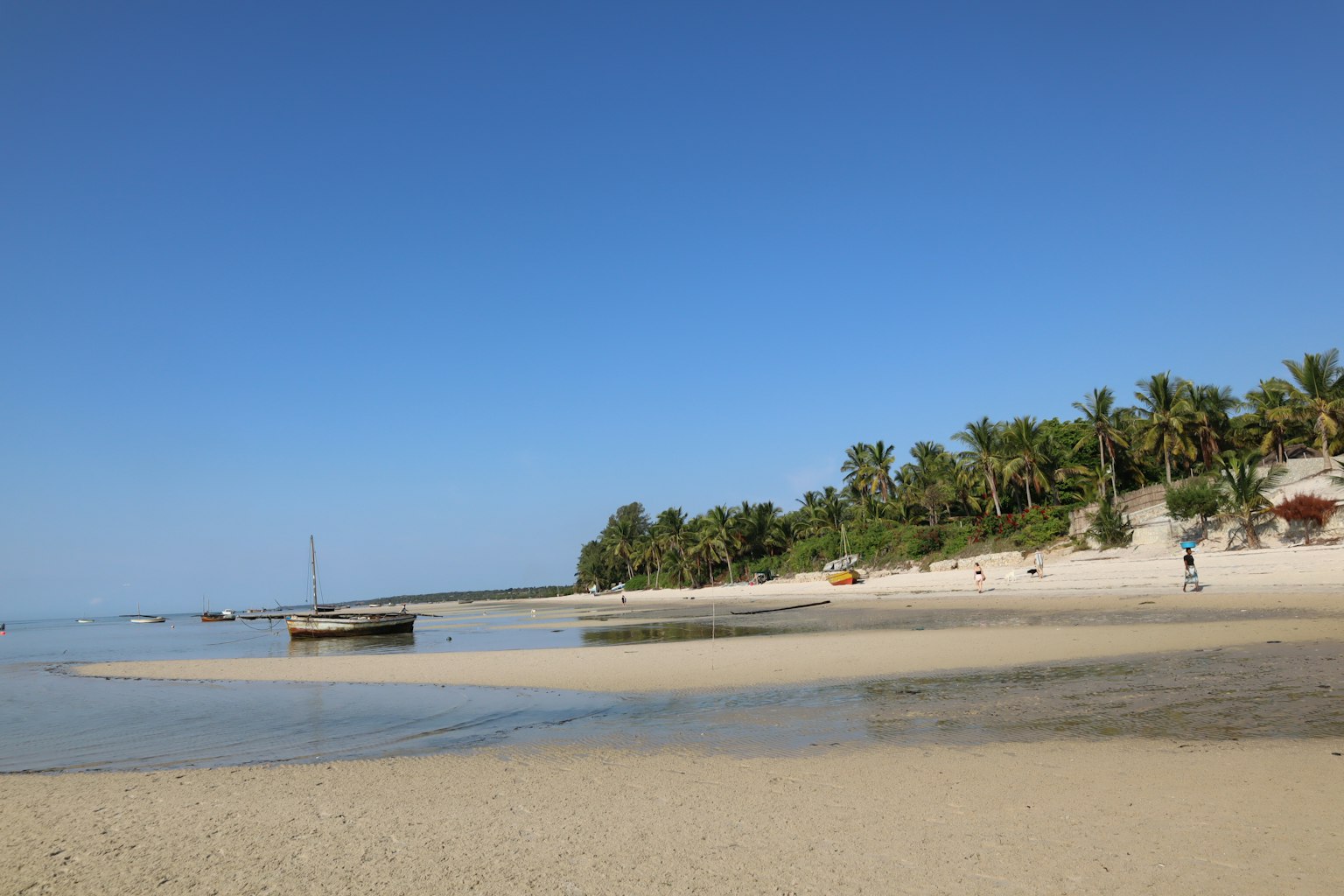Strandszene mit blauem Himmel und Sandküste mit einem Boot und Palmen