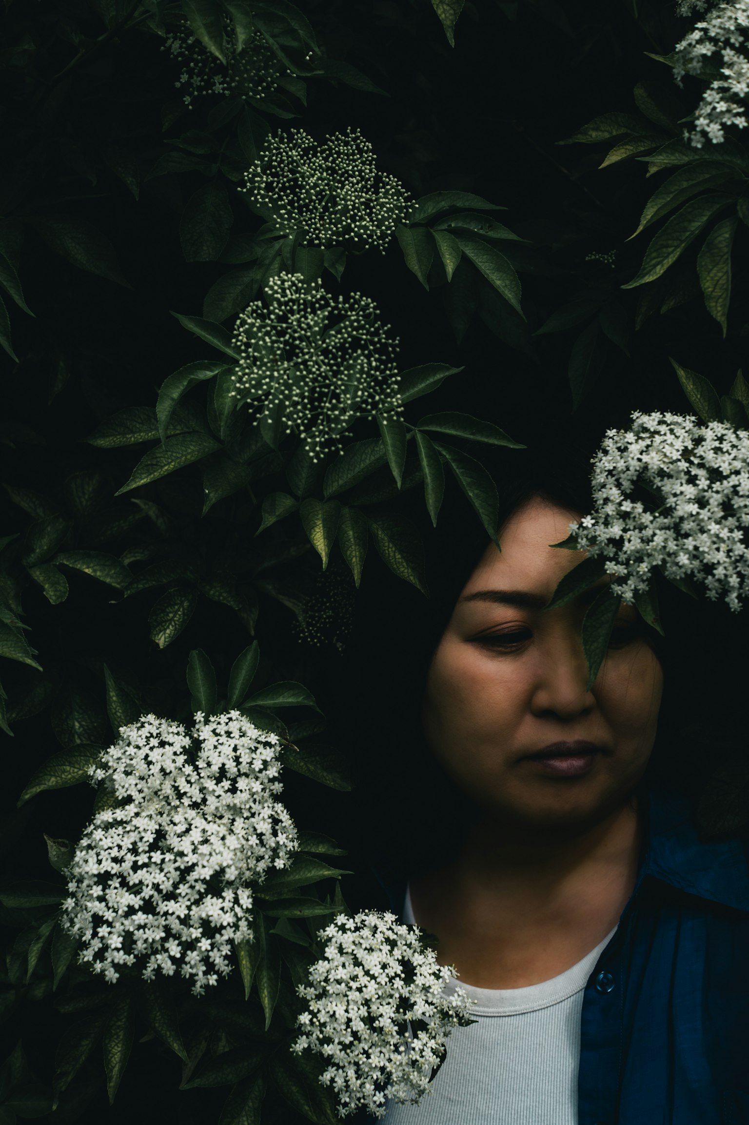 女性的肖像被綠色葉子和白色花朵包圍