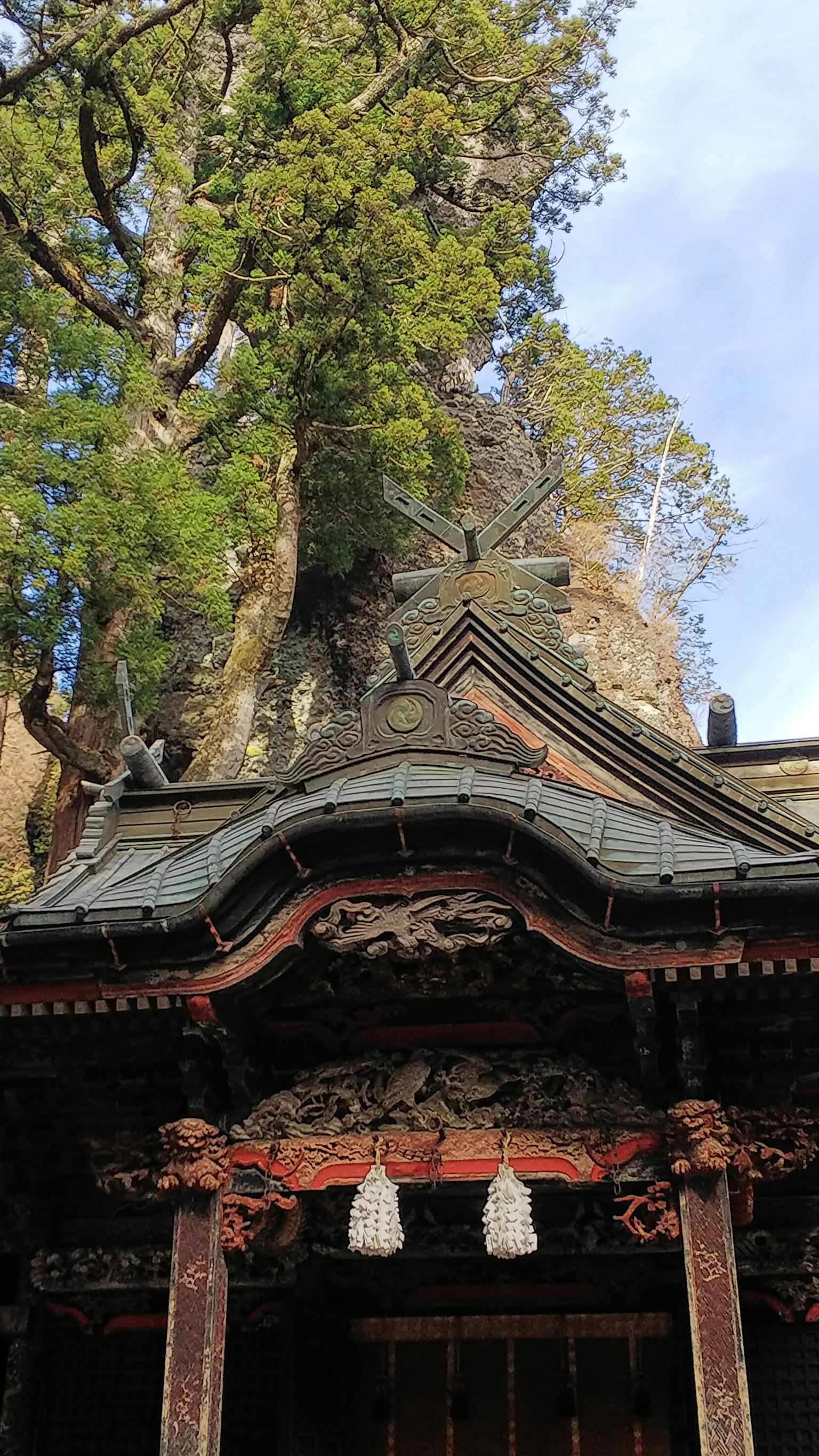 传统神社屋顶与周围树木