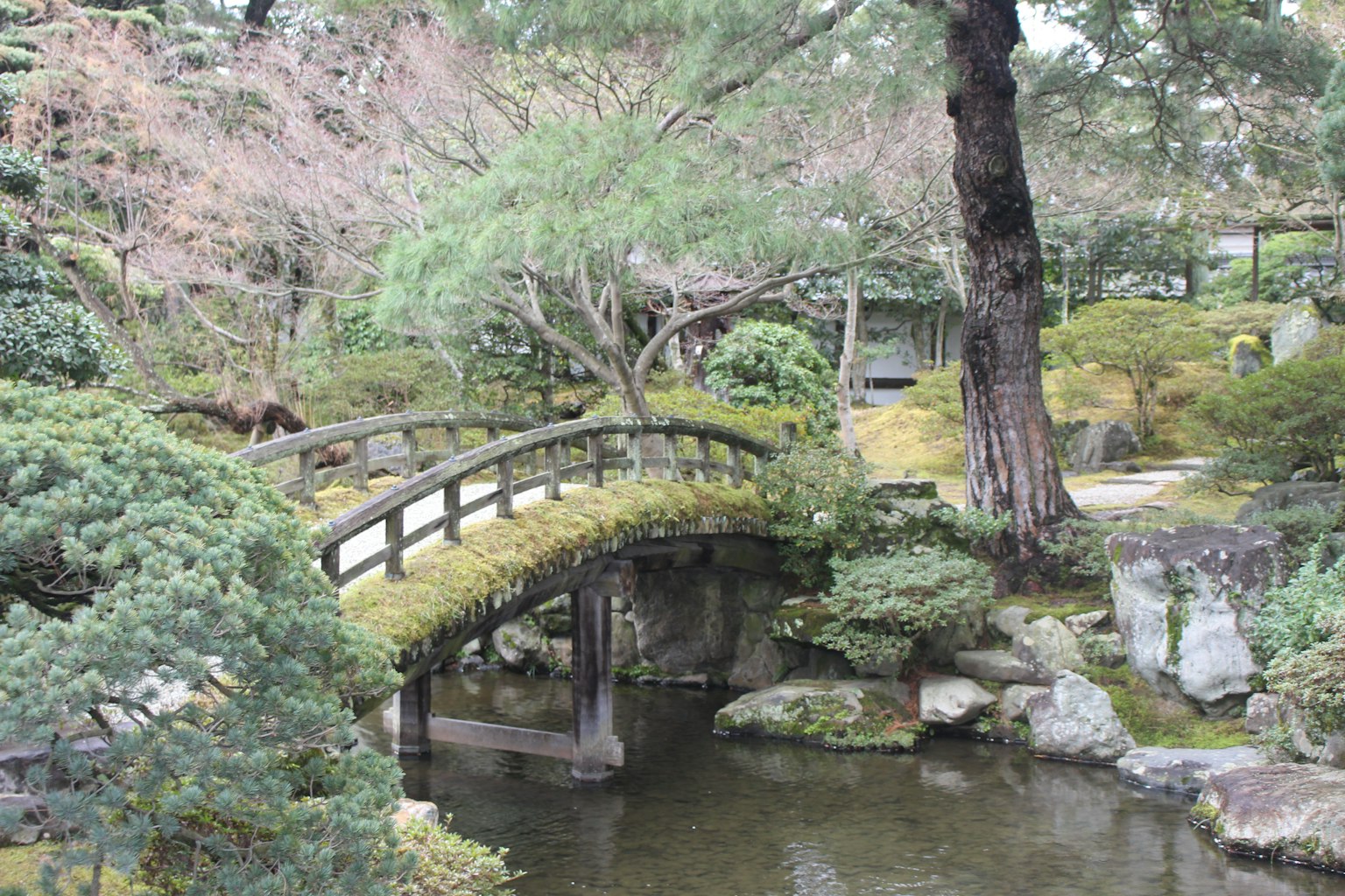 美麗的日本庭園，木橋和寧靜的池塘