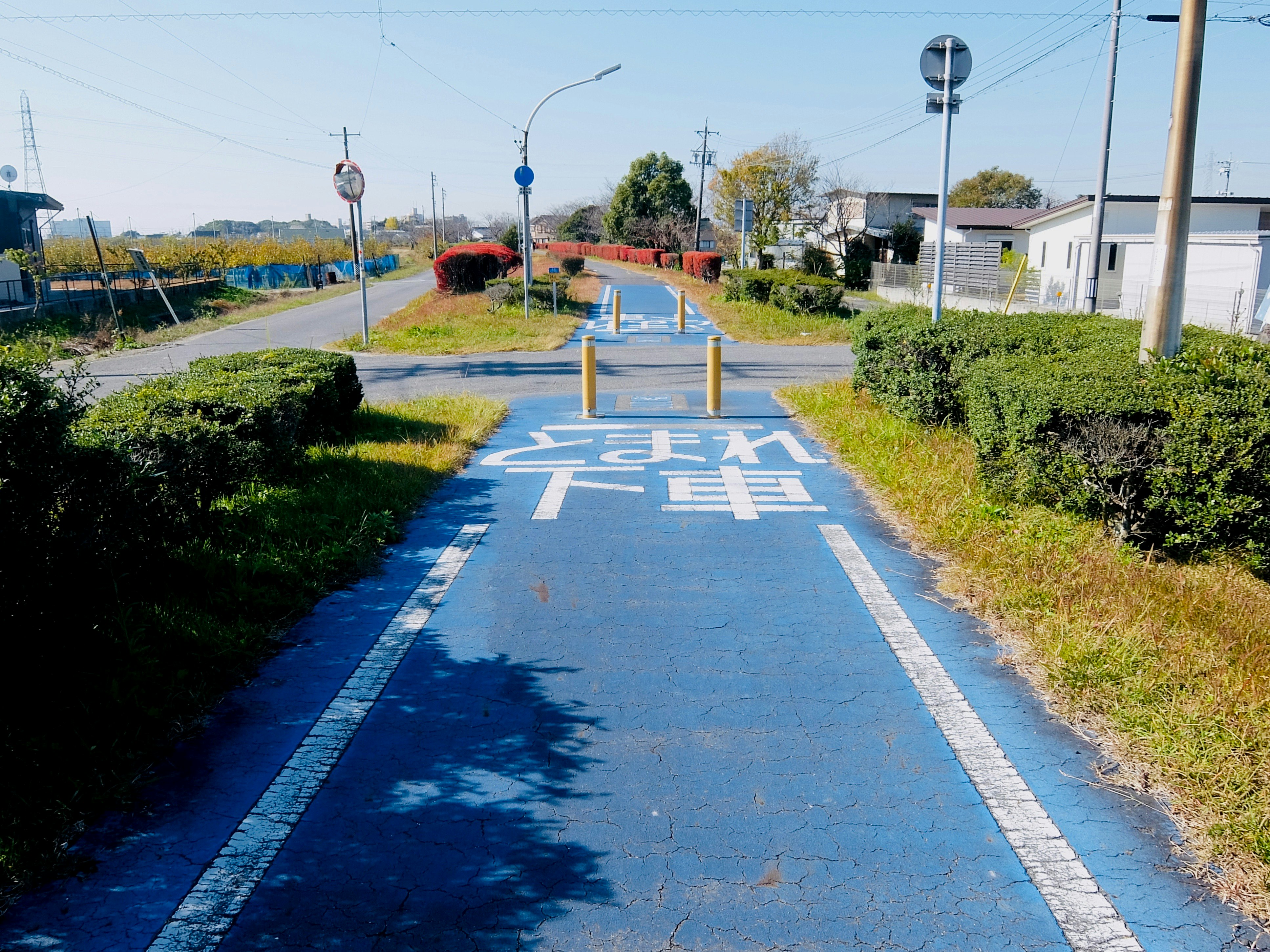 ภาพทางแยกชานเมืองบนถนนตรง มีม้าลายและสัญญาณไฟจราจร