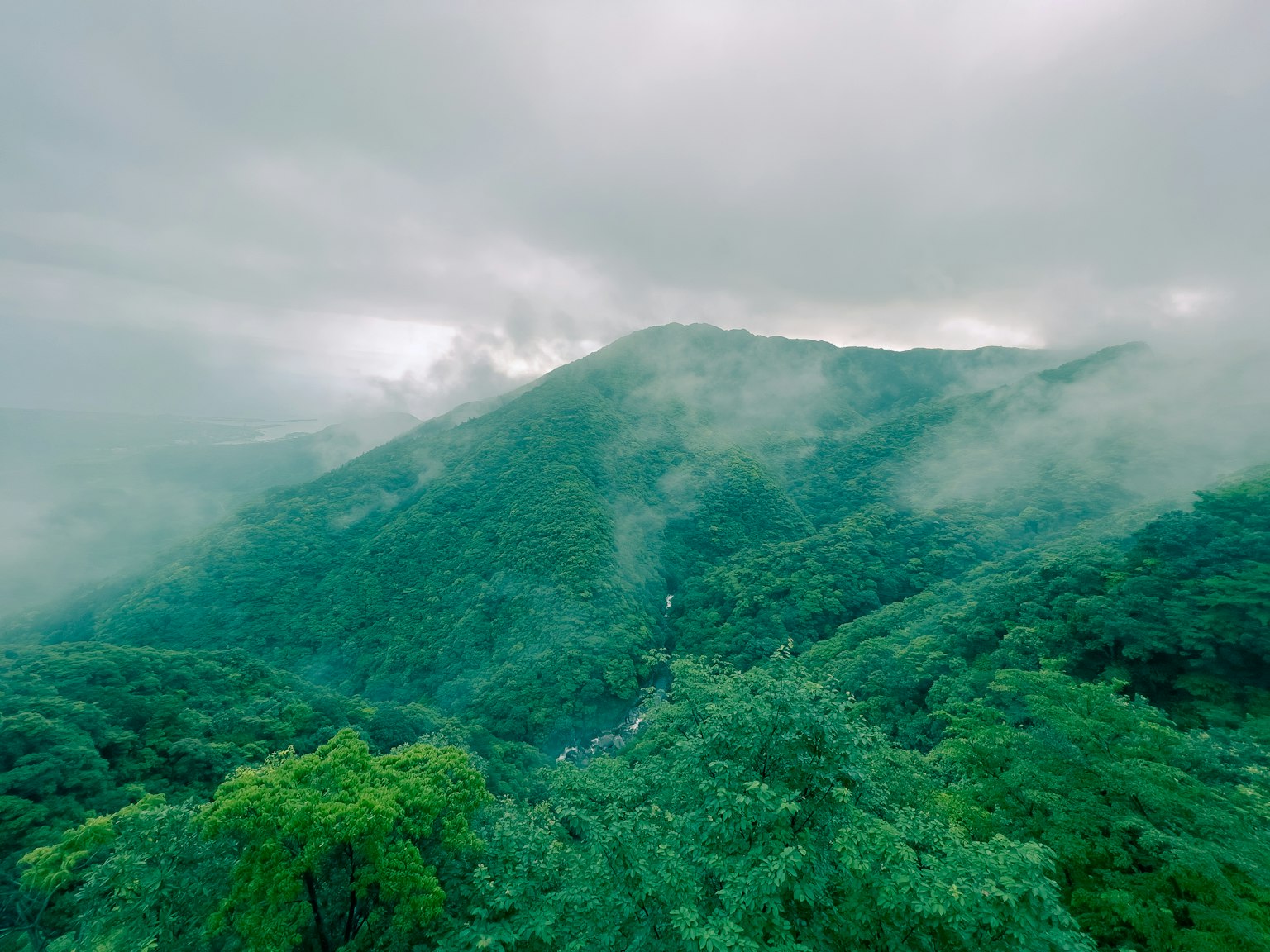 Gunung hijau subur yang diselimuti kabut